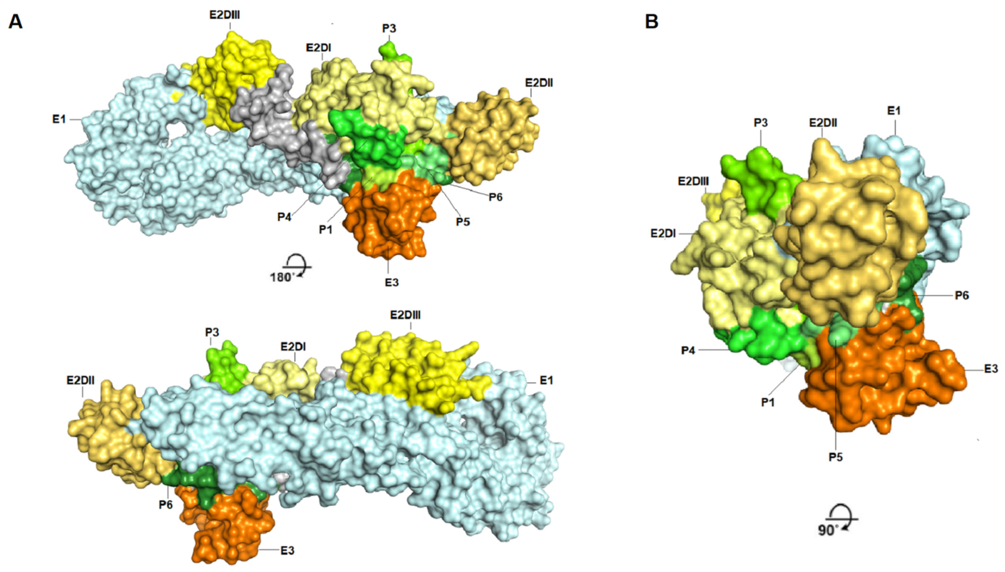 Viruses 14 01839 g009