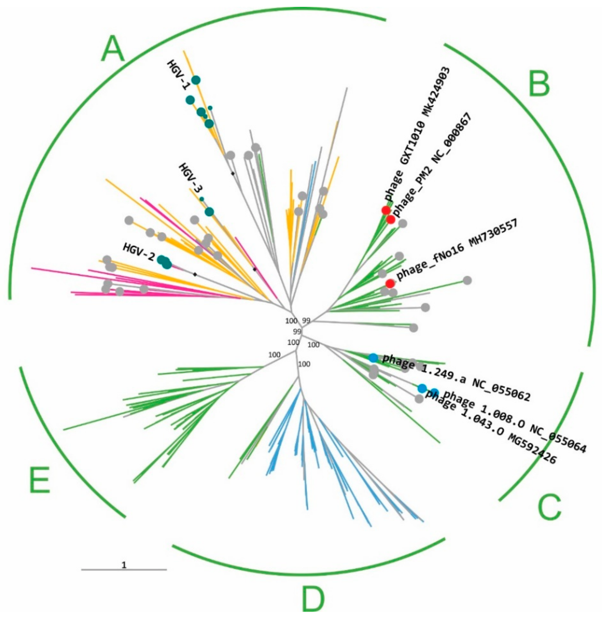 Viruses 14 01842 g002