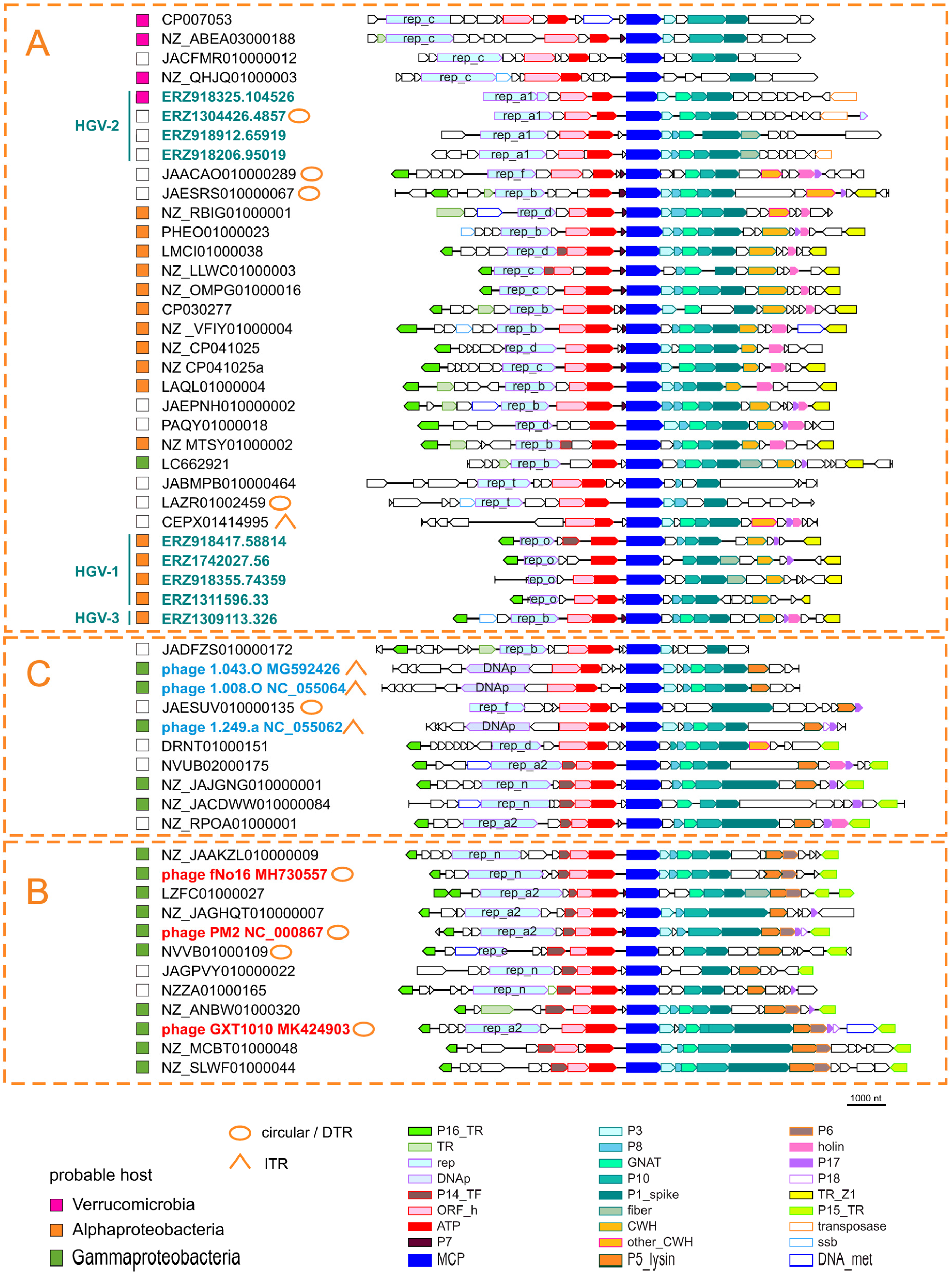 Viruses 14 01842 g003