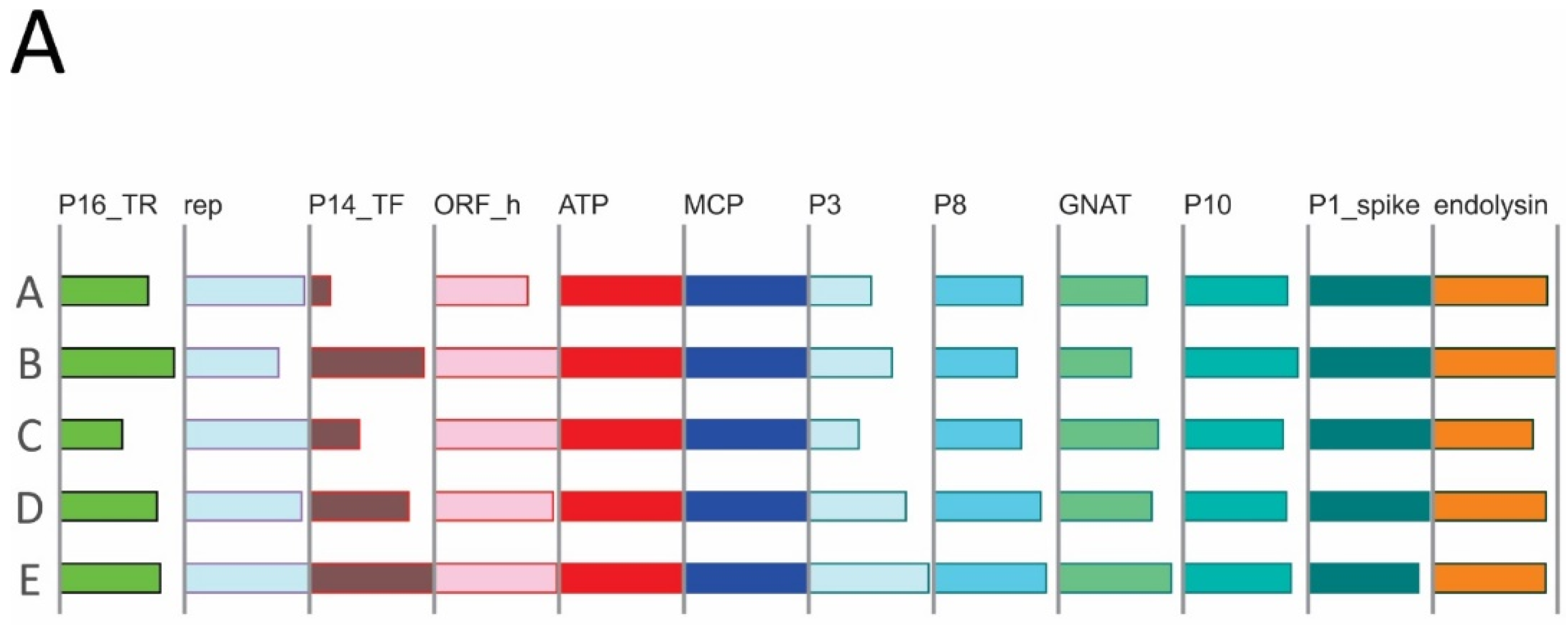 Viruses 14 01842 g005a