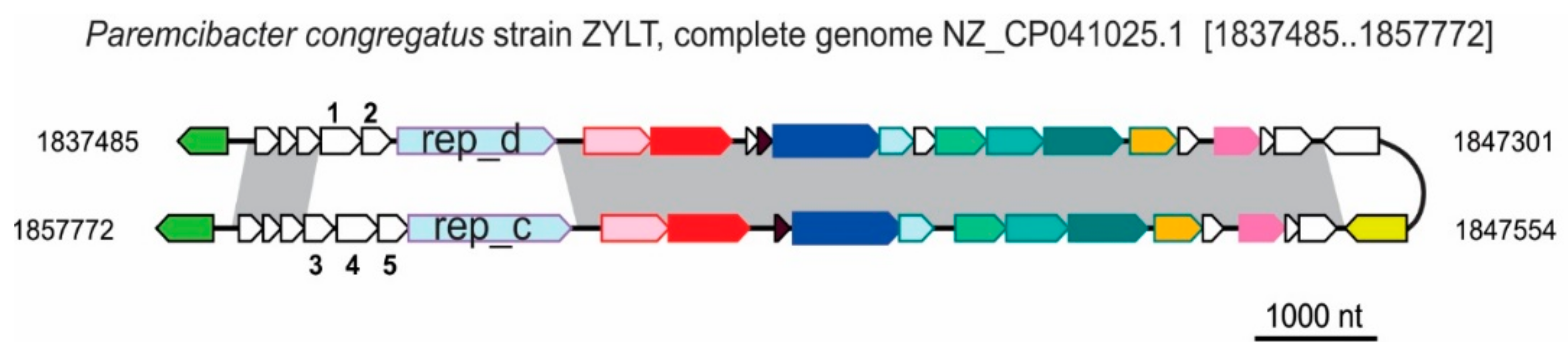 Viruses 14 01842 g006