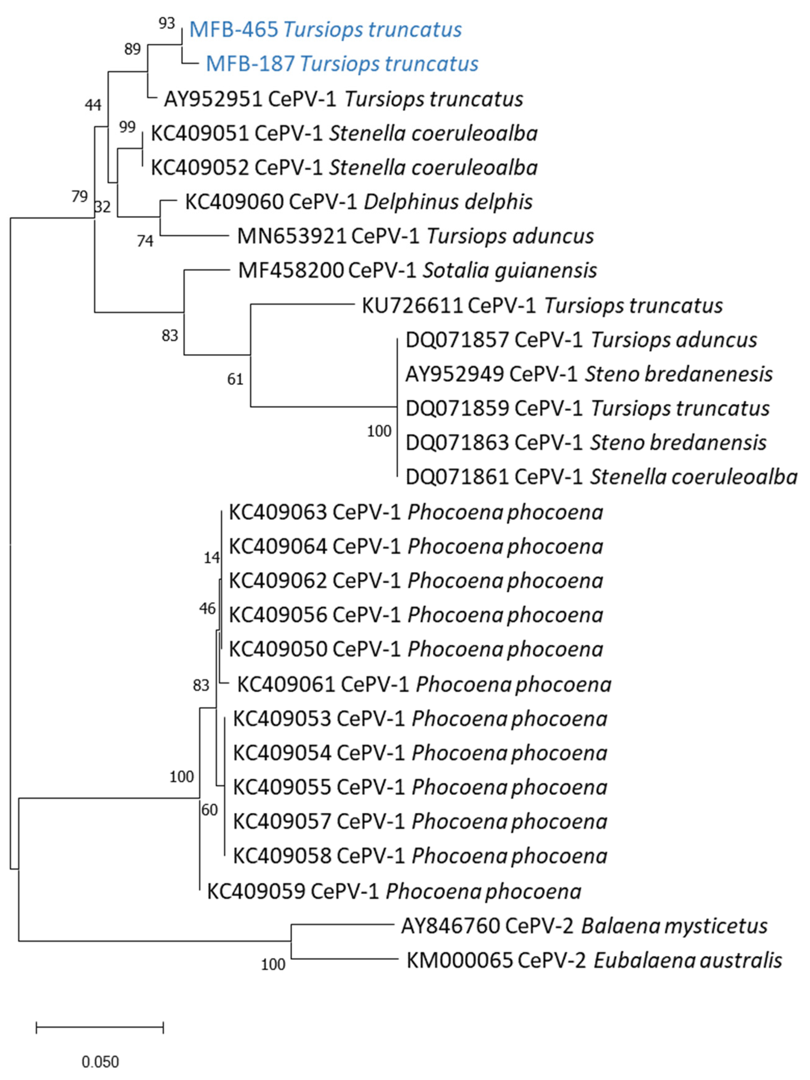 Viruses 14 01850 g002