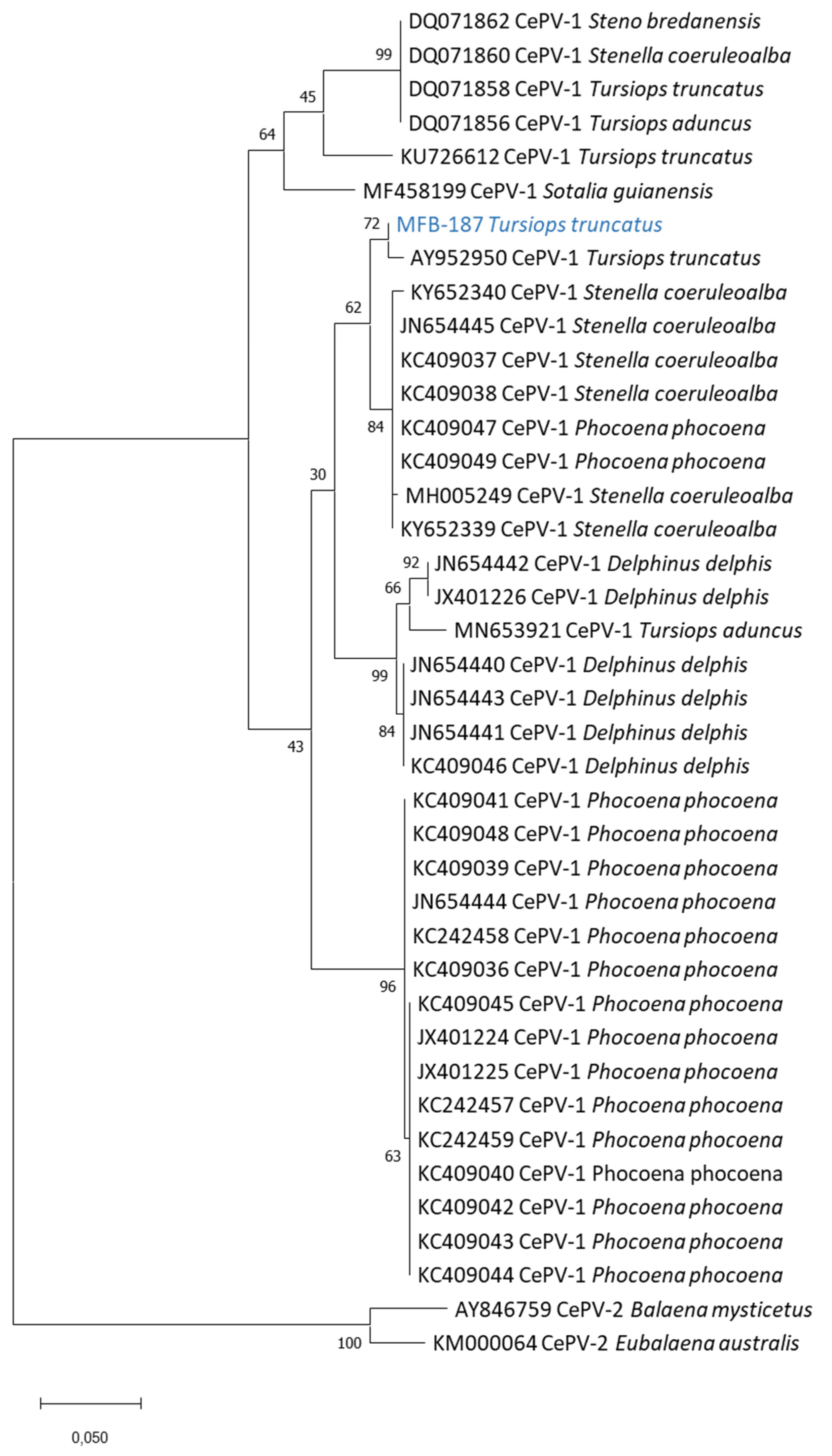 Viruses 14 01850 g003
