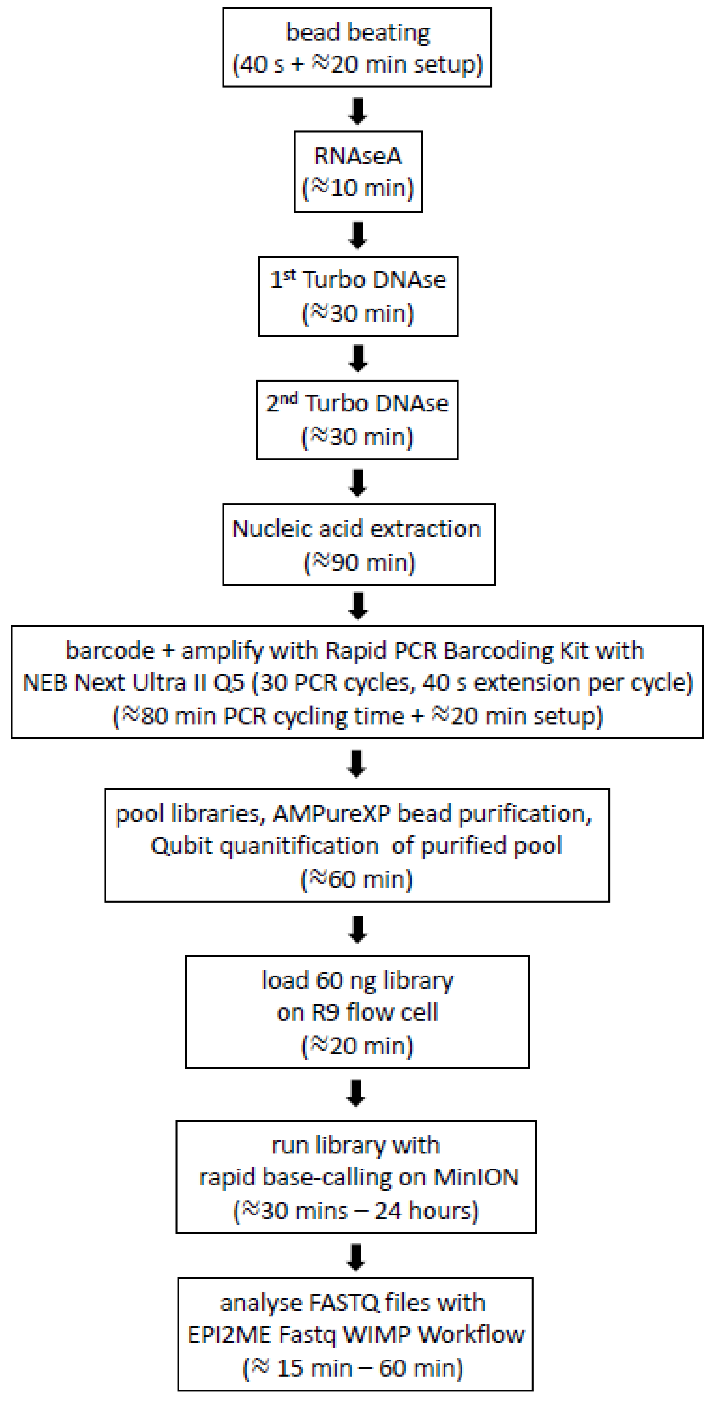 Viruses 14 01859 g003