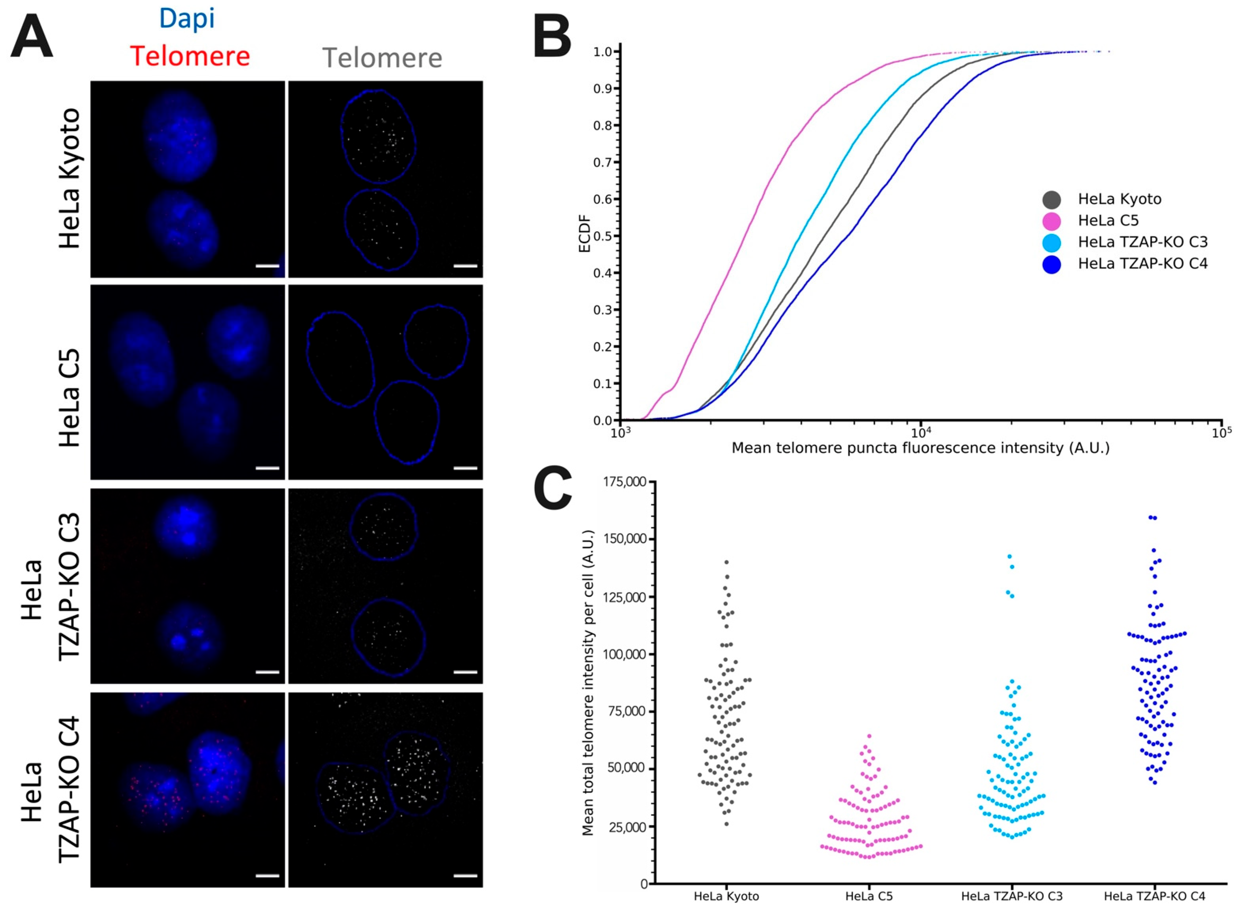 Viruses 14 01864 g001