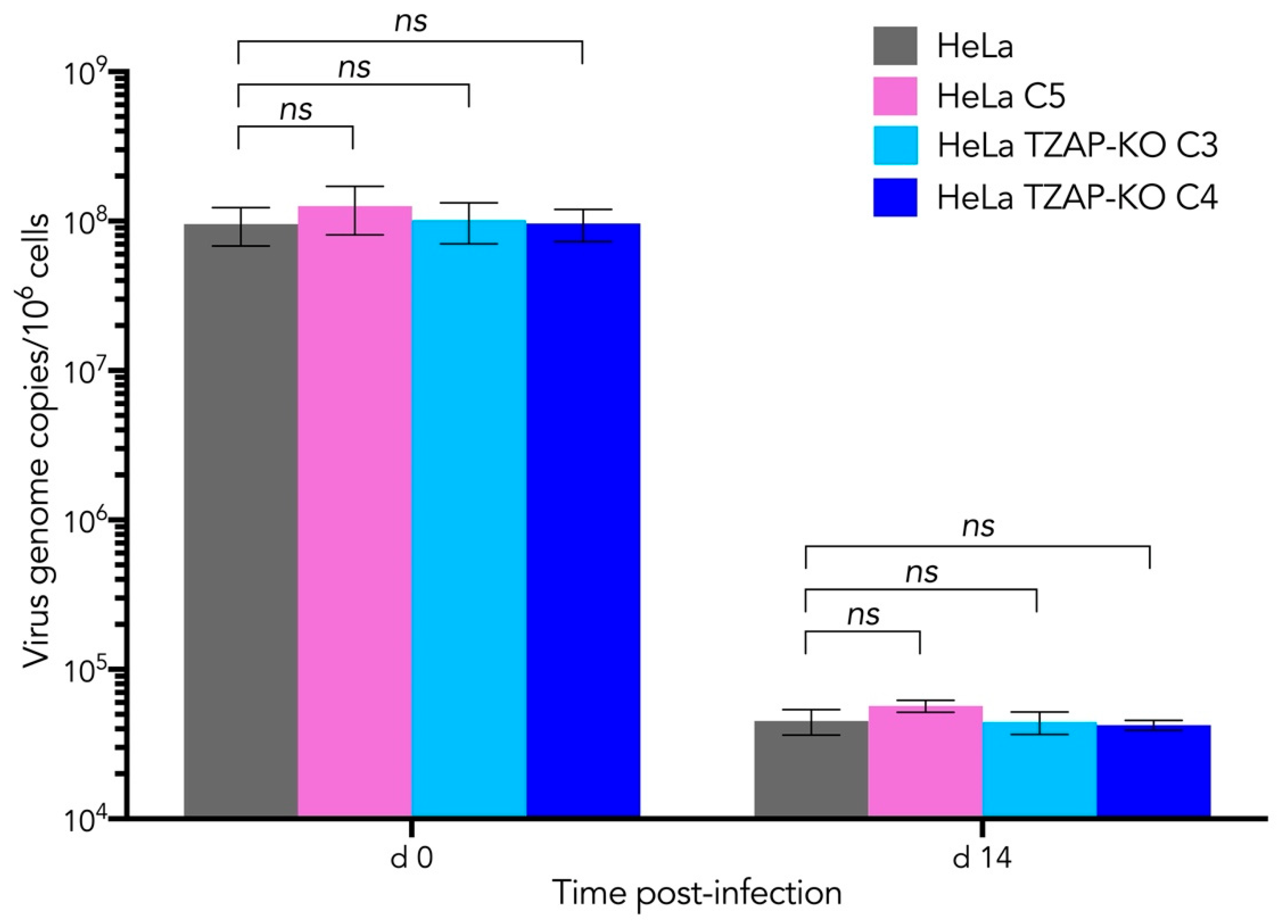Viruses 14 01864 g003