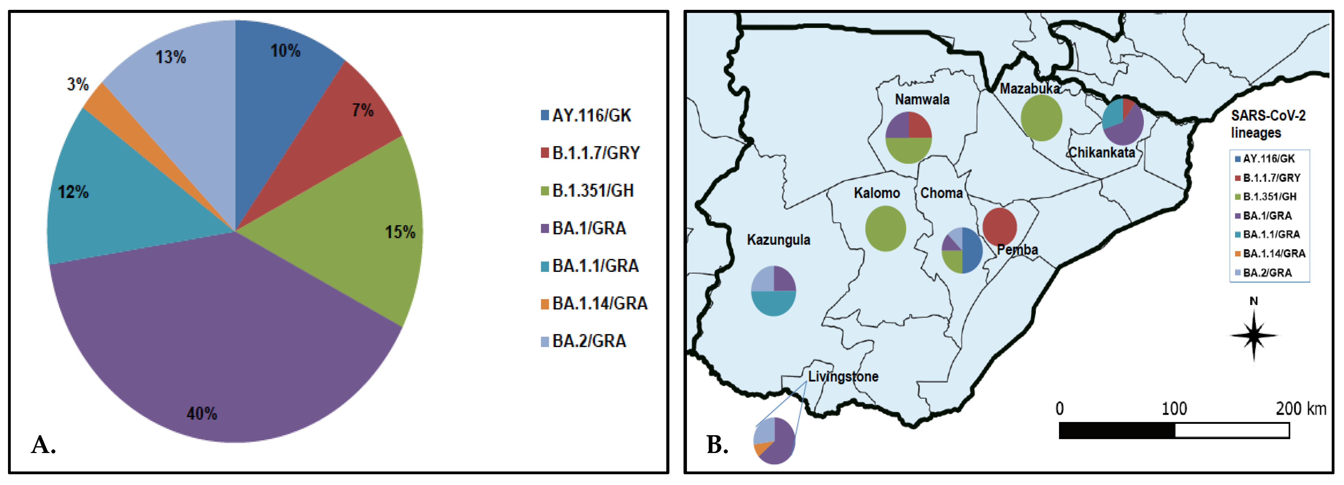 Viruses 14 01865 g002