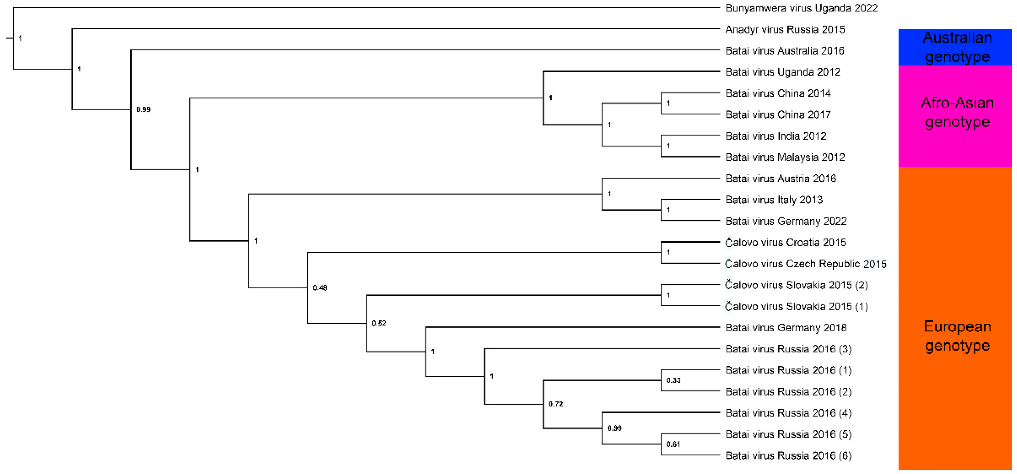 Viruses 14 01868 g001