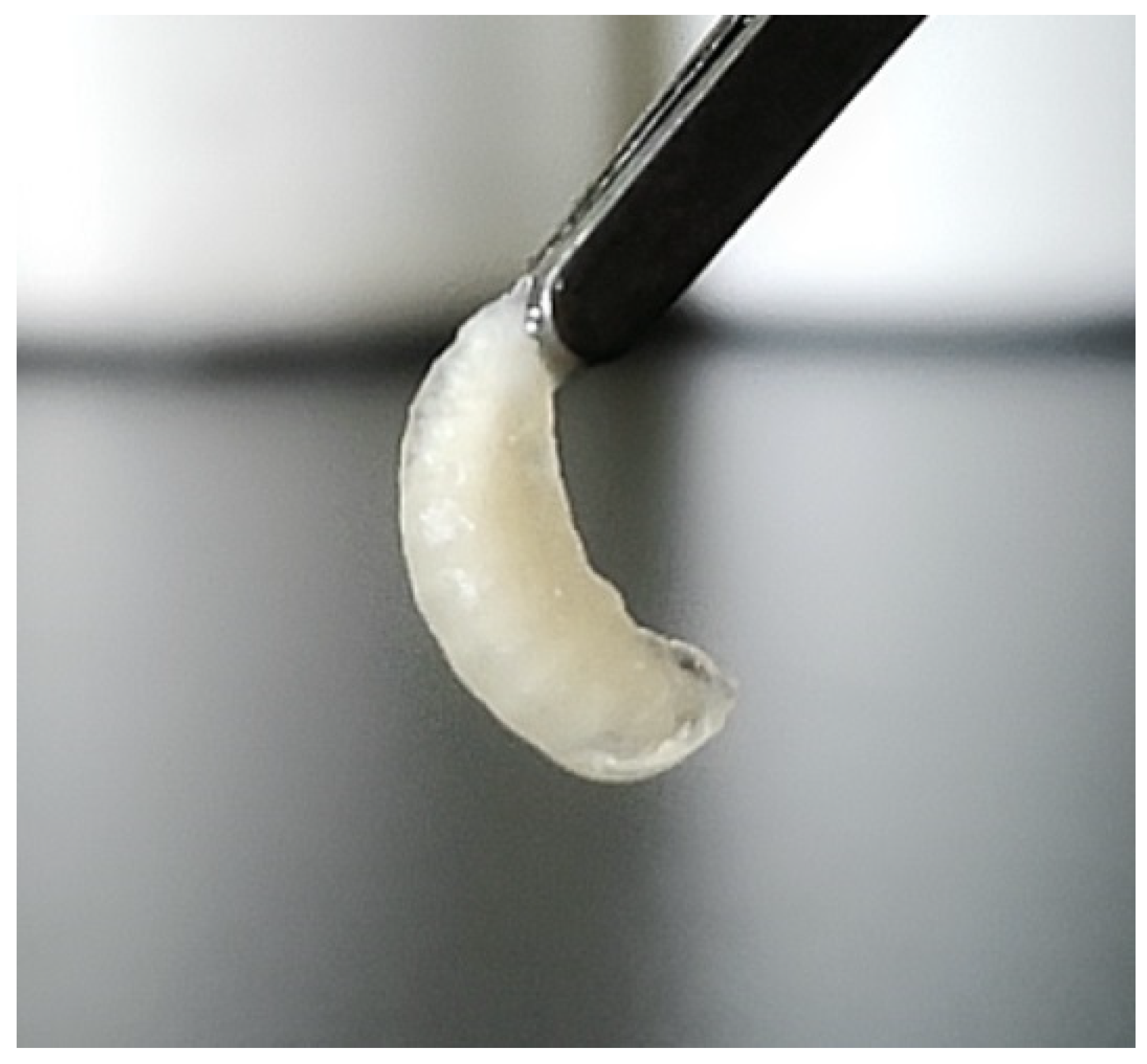 Viruses 14 01871 g001