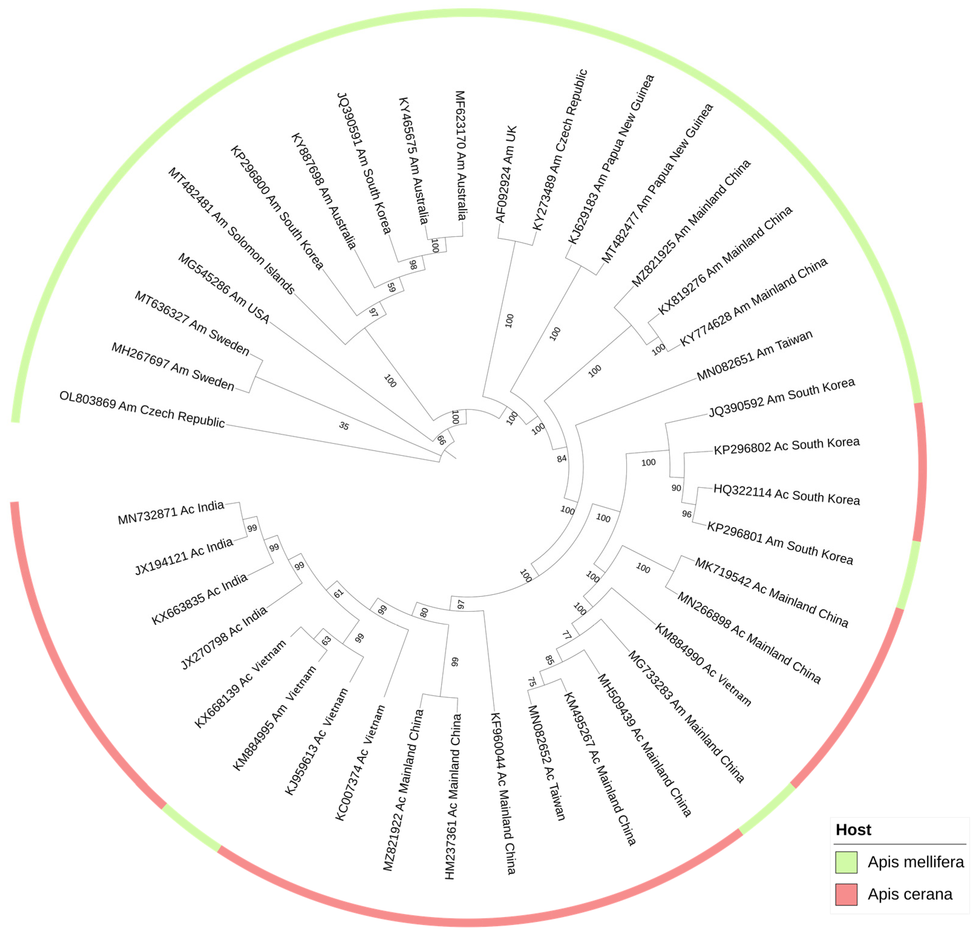 Viruses 14 01871 g003