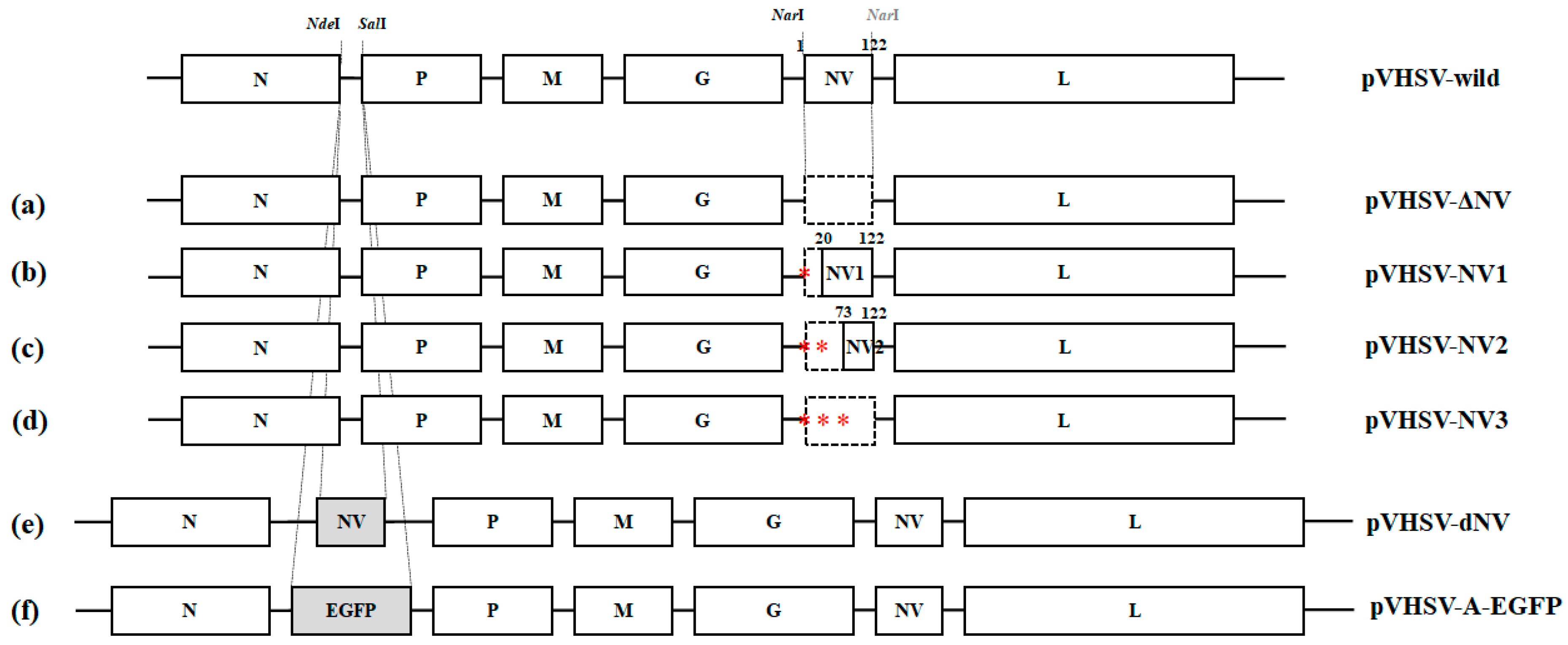 Viruses 14 01886 g001 Viruses 14 01886 g001