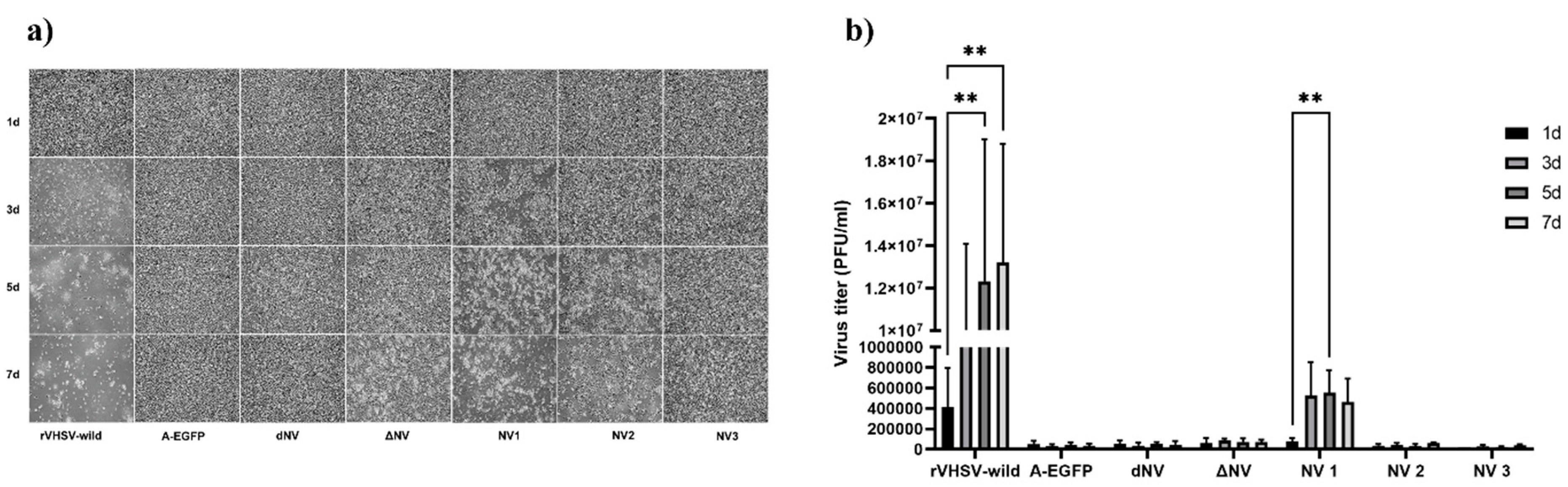 Viruses 14 01886 g002 Viruses 14 01886 g002