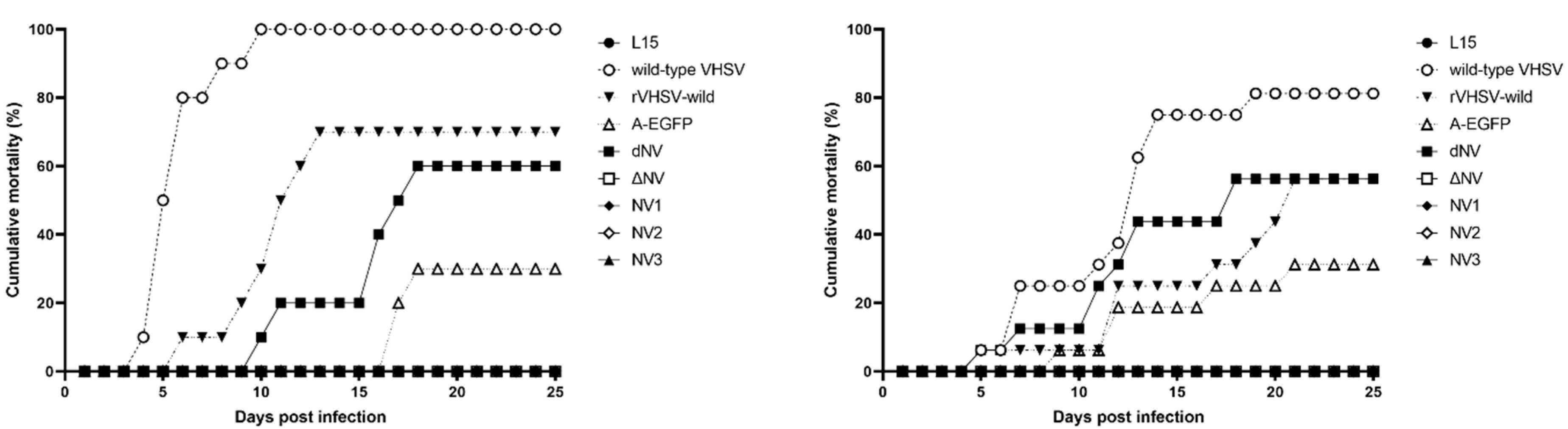 Viruses 14 01886 g005 Viruses 14 01886 g005