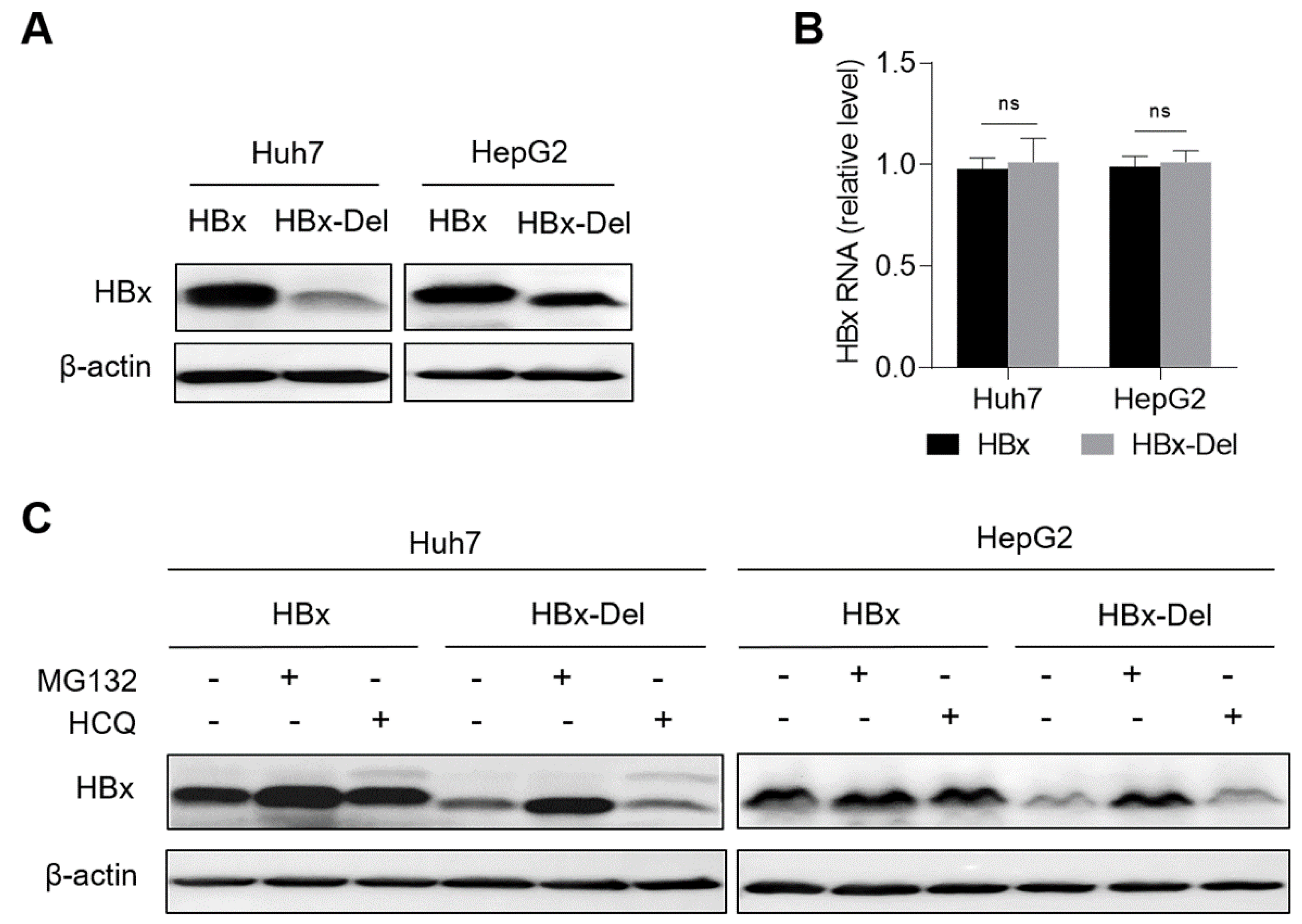 Viruses 14 01887 g004