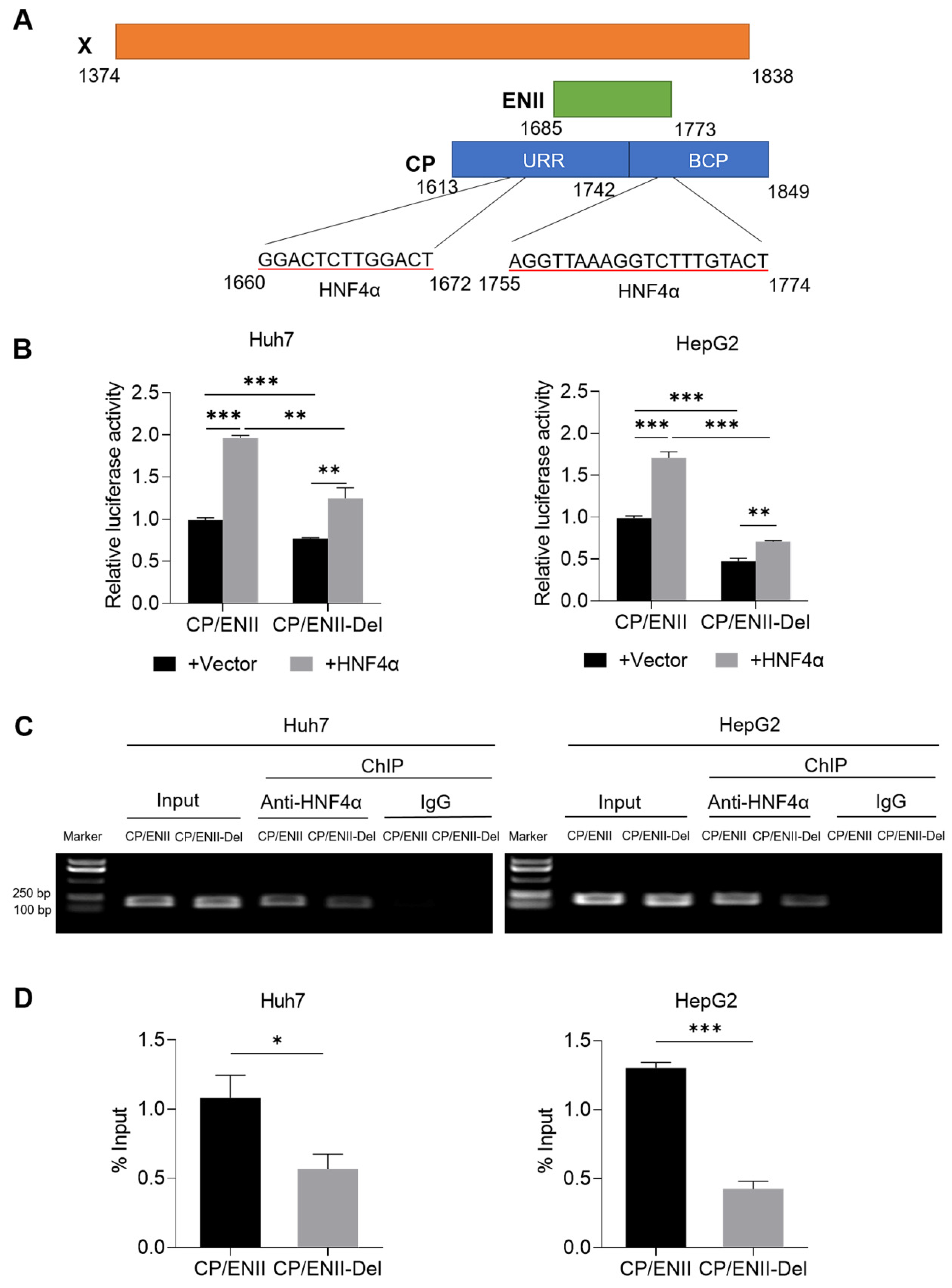 Viruses 14 01887 g005