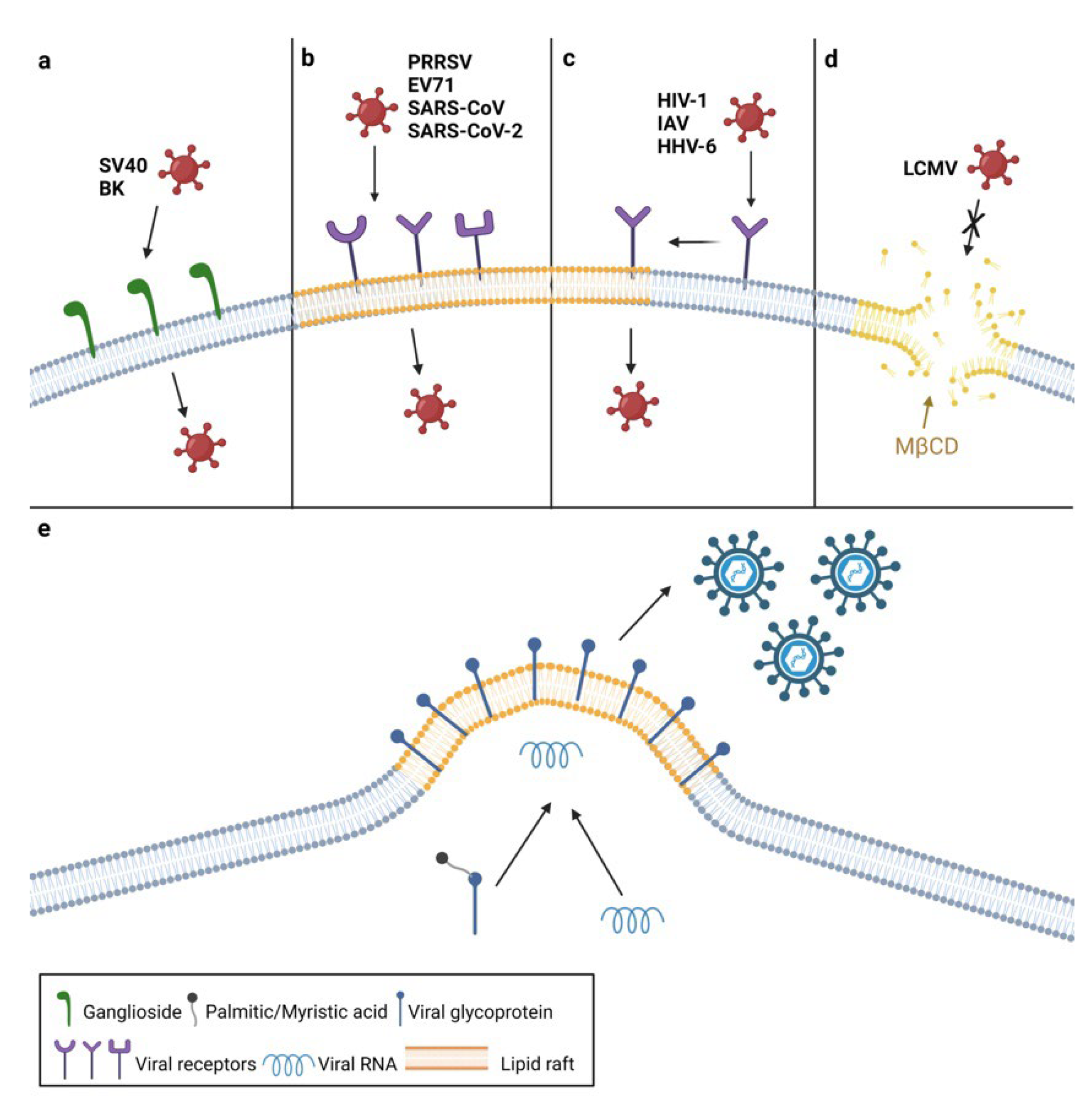 Viruses 14 01896 g001