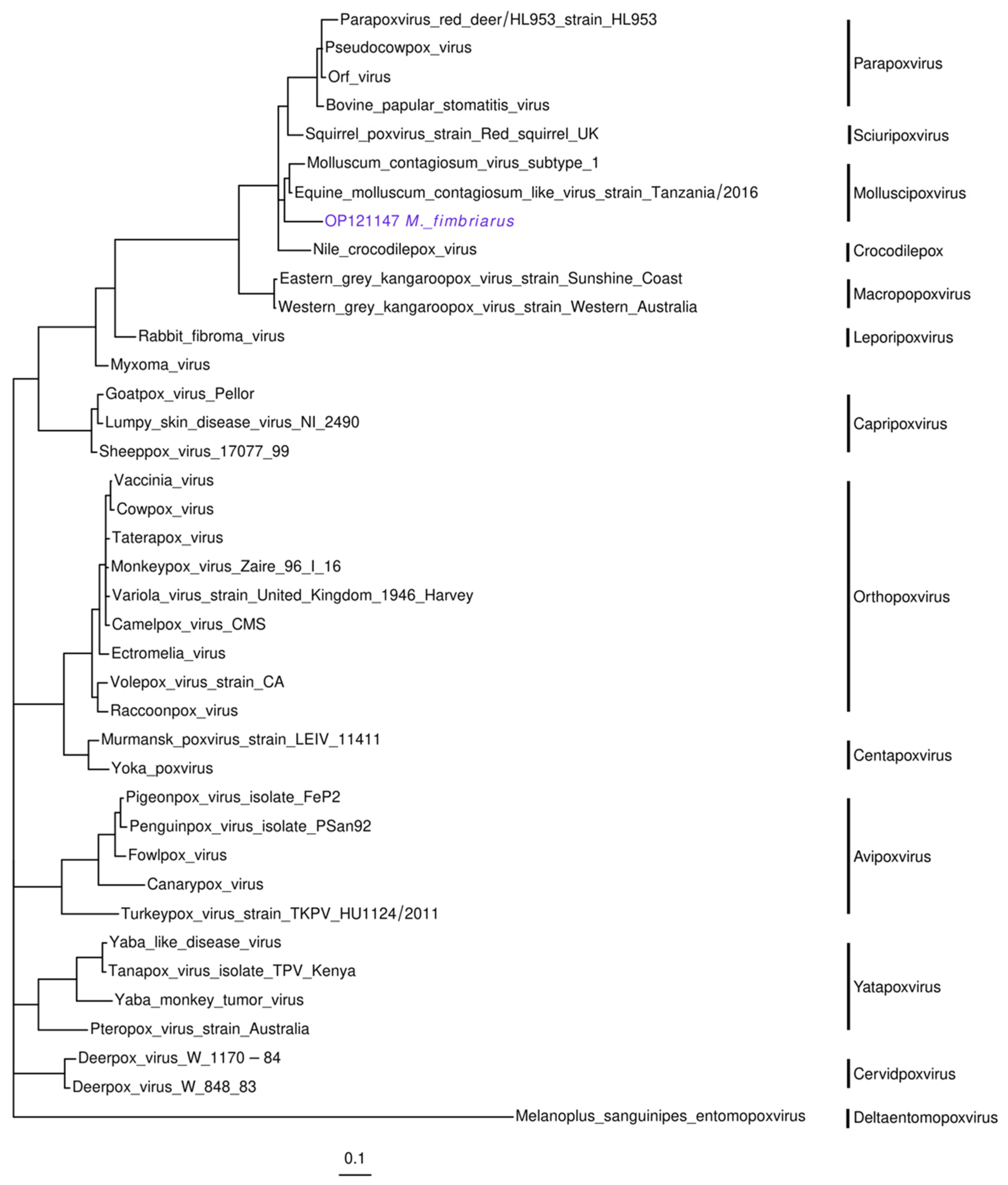 Viruses 14 01899 g006