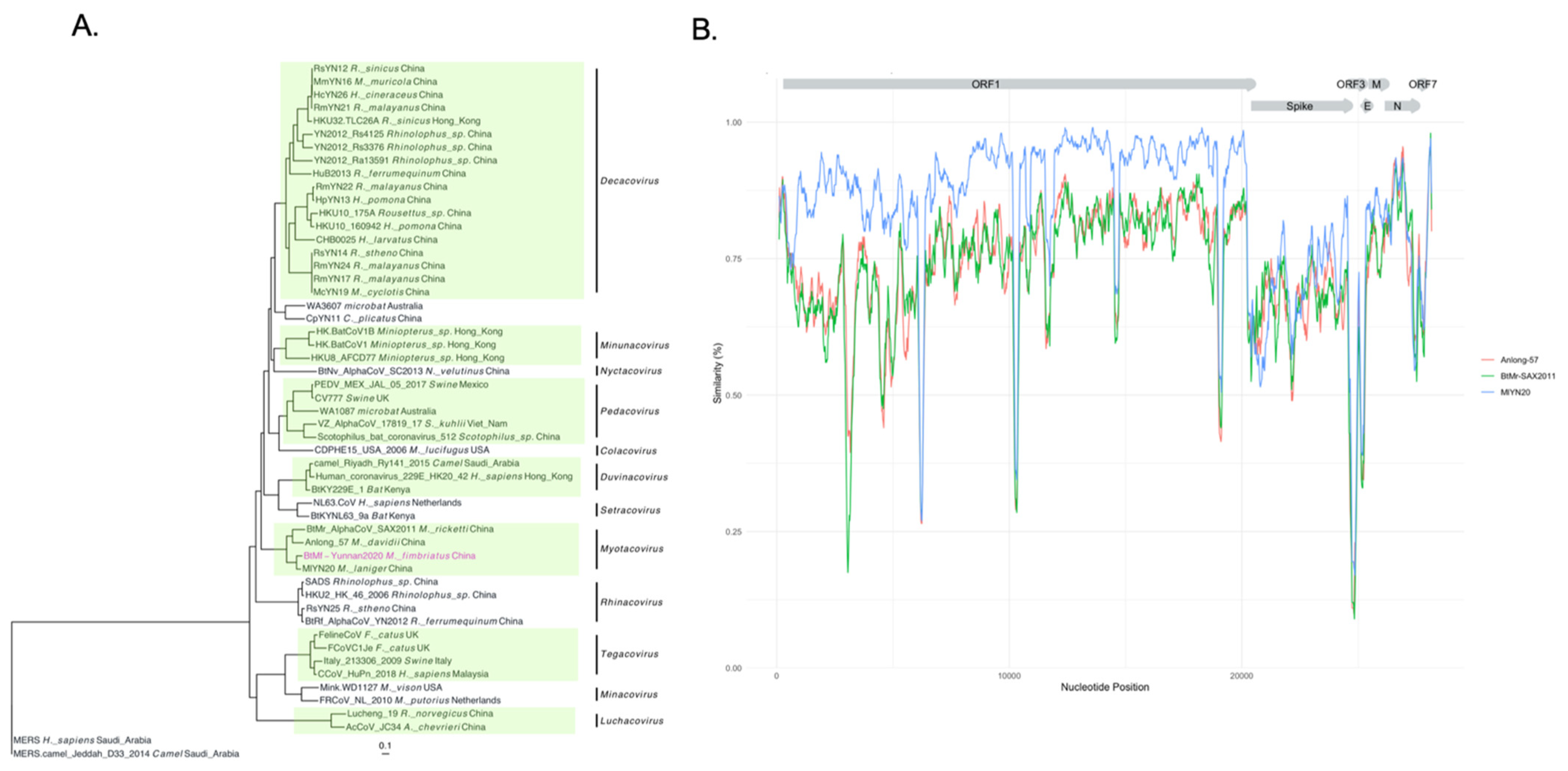 Viruses 14 01899 g007