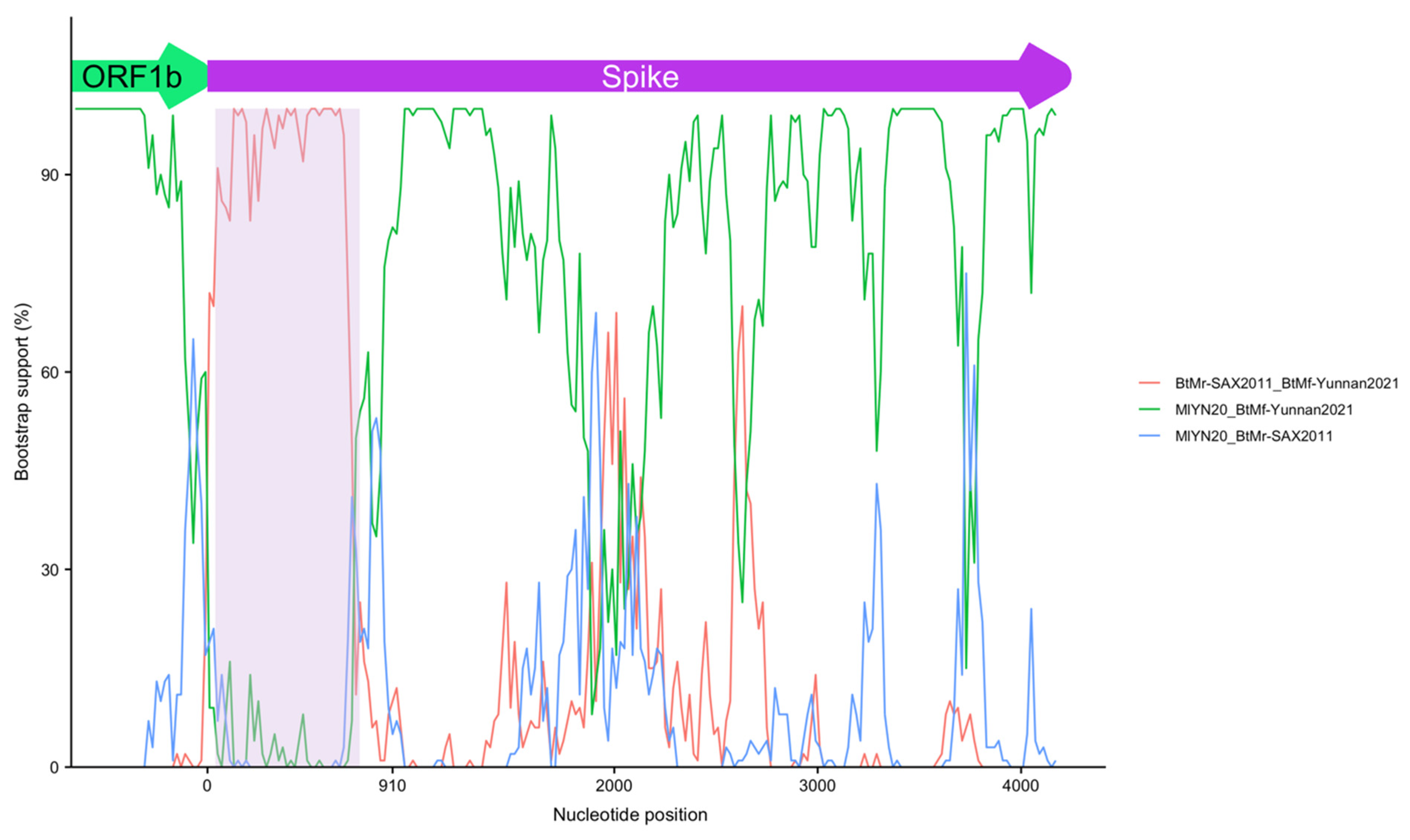 Viruses 14 01899 g008