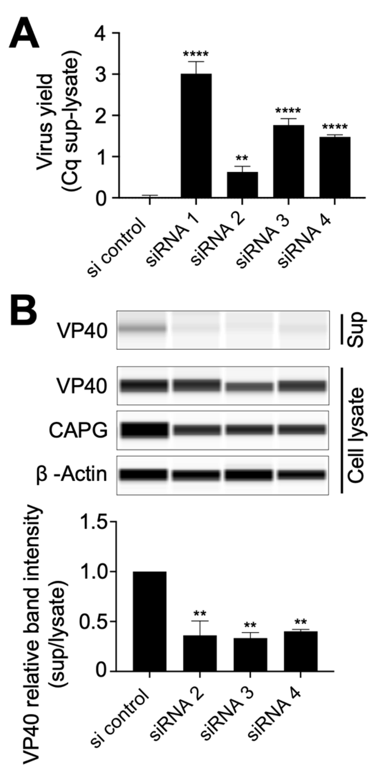 Viruses 14 01903 g003