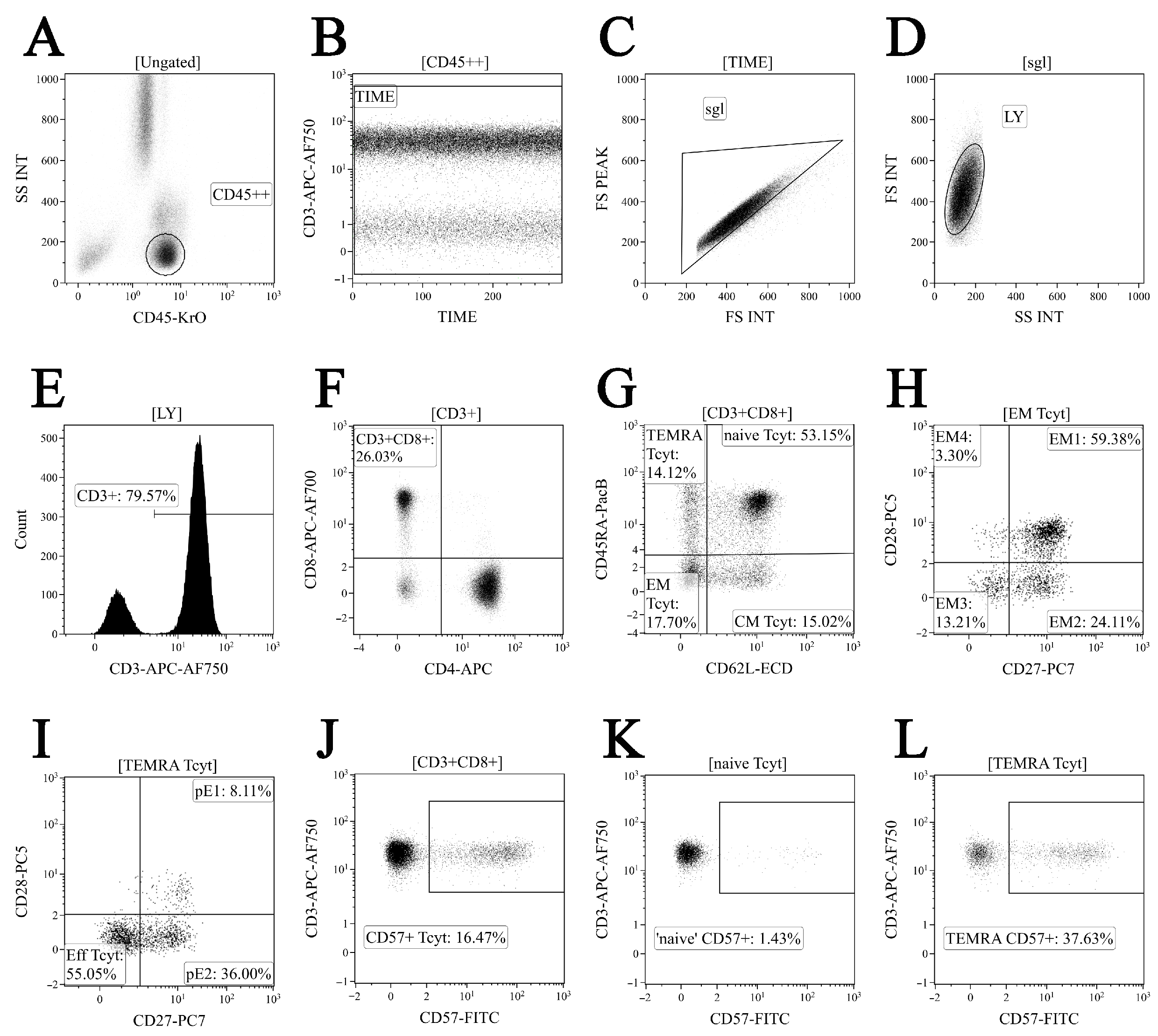 Viruses 14 01906 g001