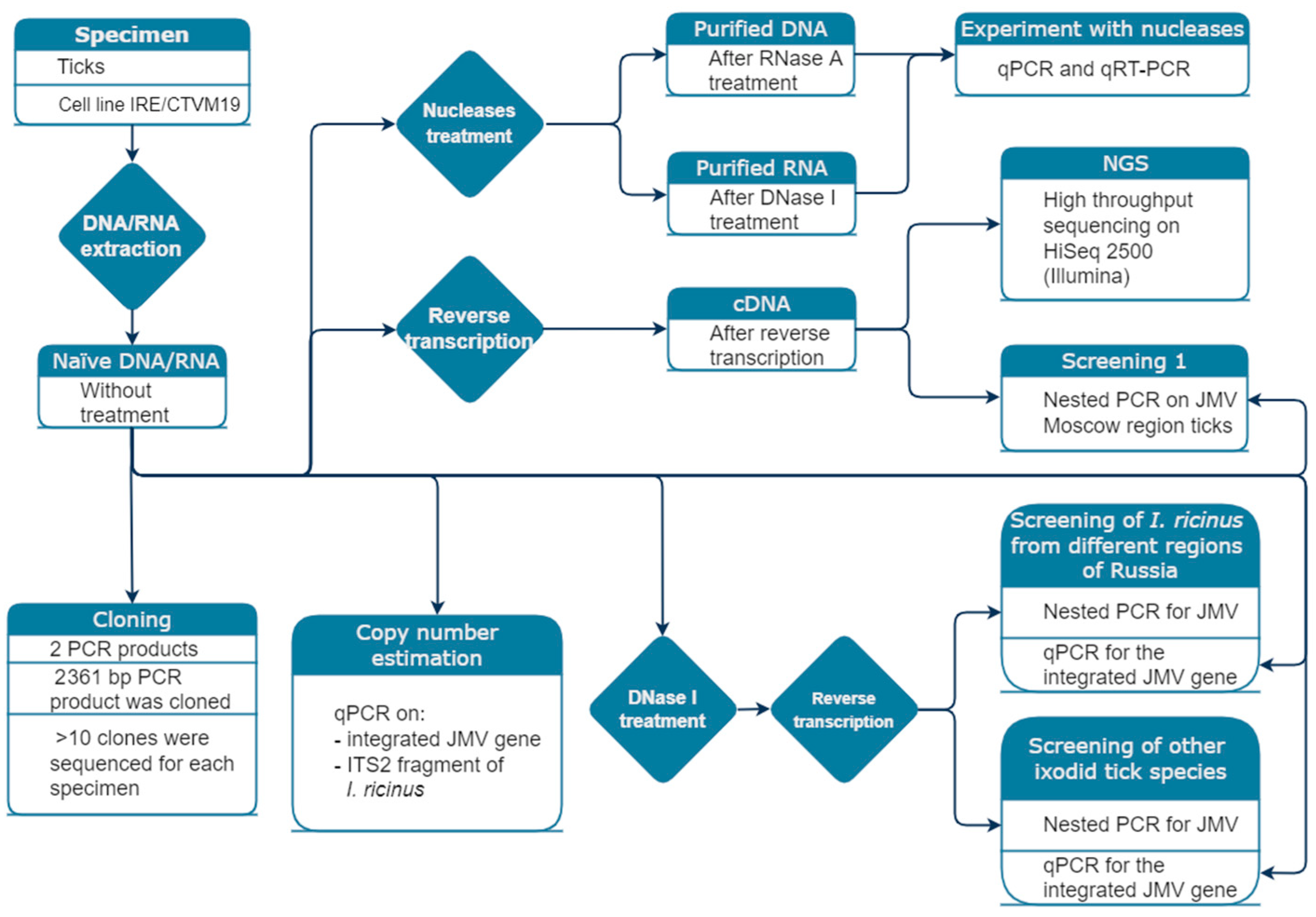 Viruses 14 01908 g001