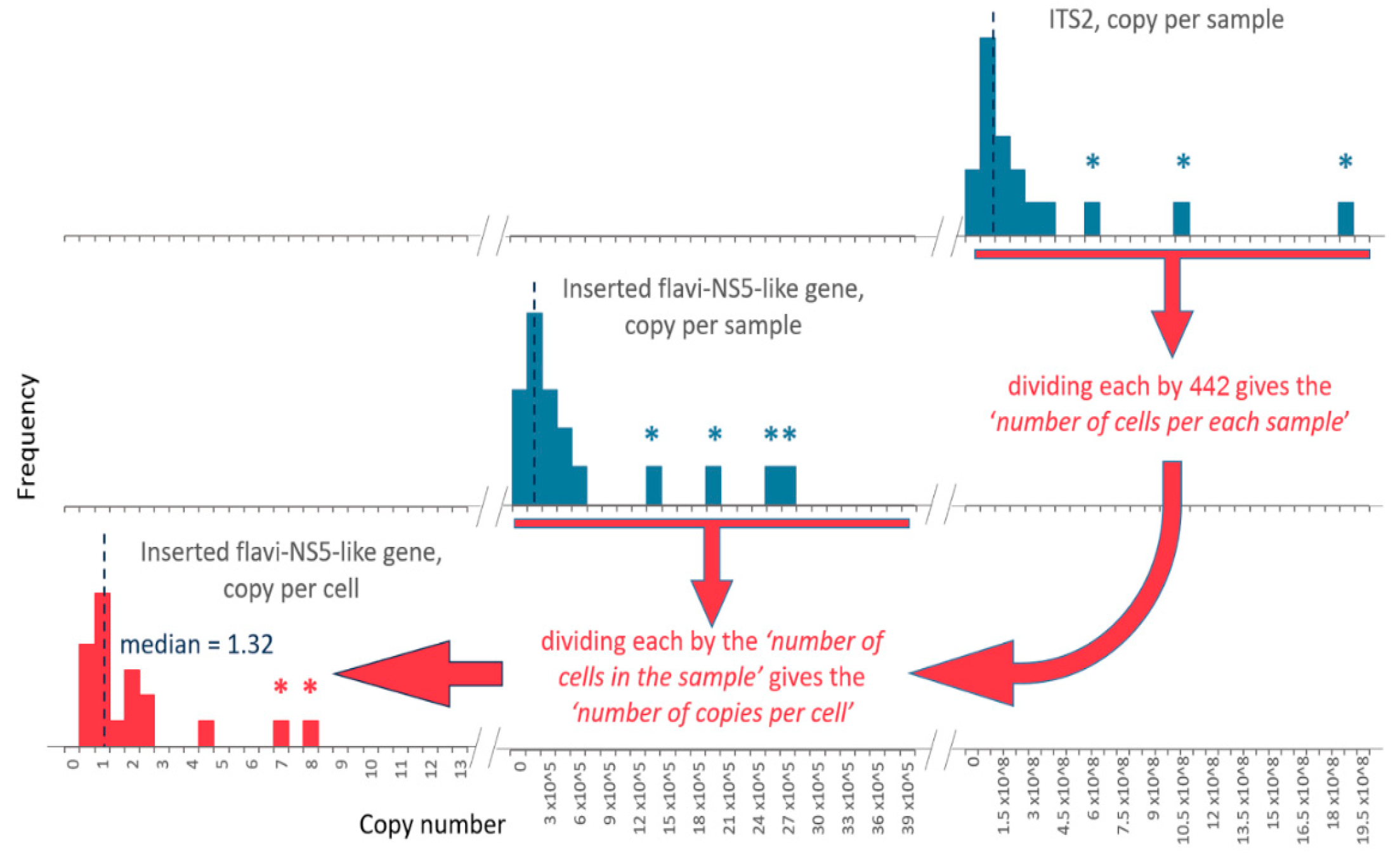 Viruses 14 01908 g004