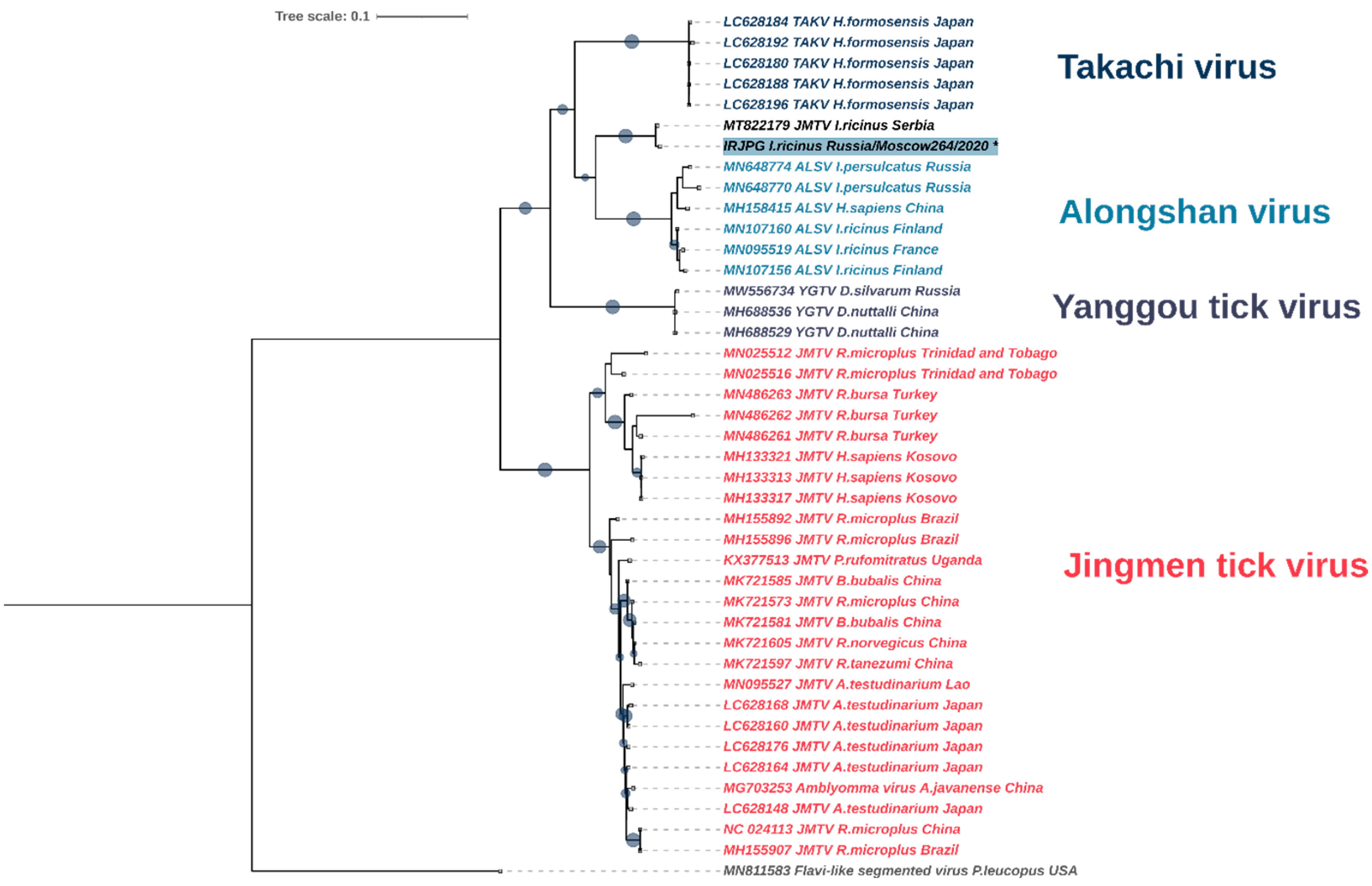 Viruses 14 01908 g005