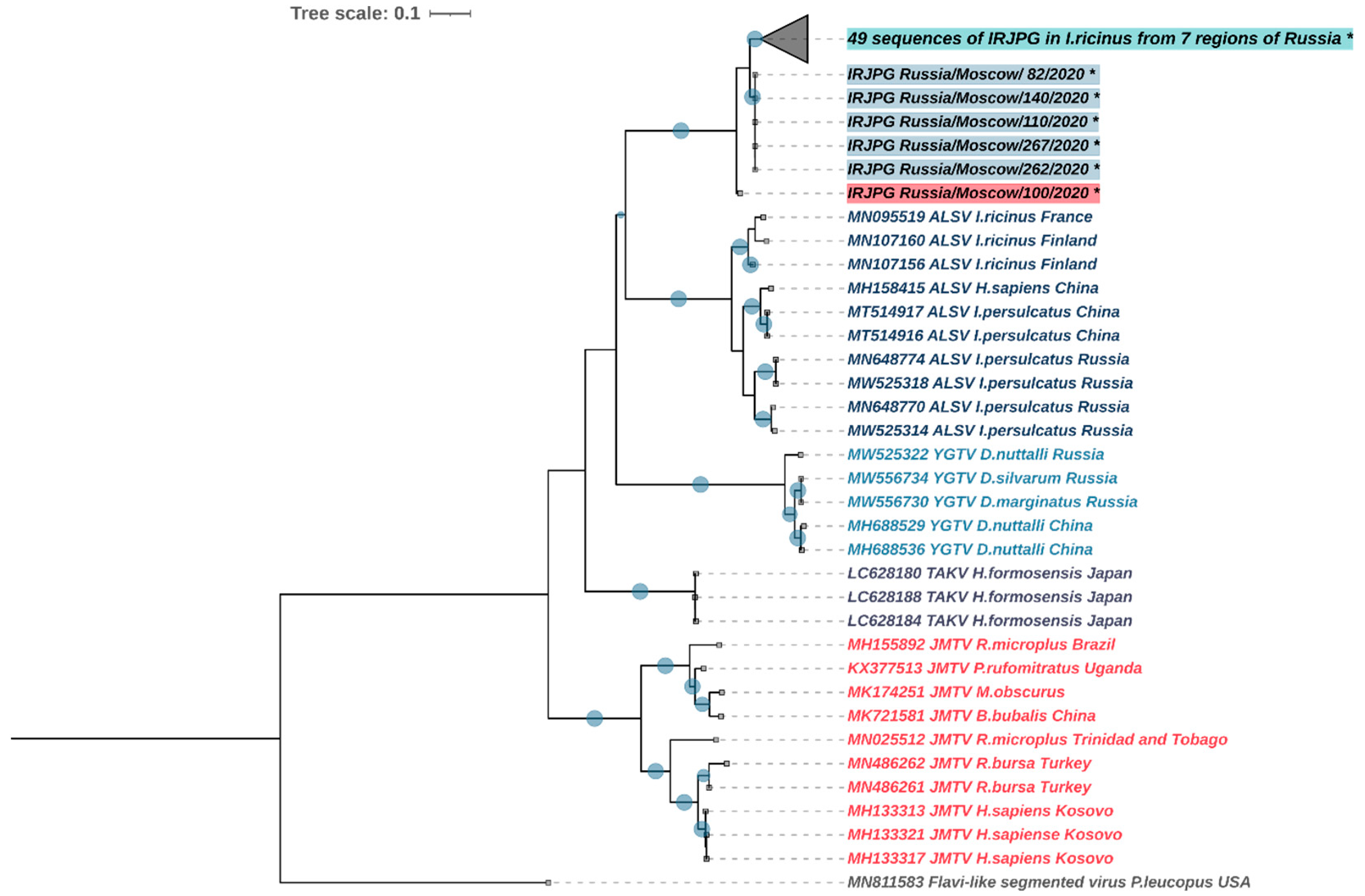 Viruses 14 01908 g006