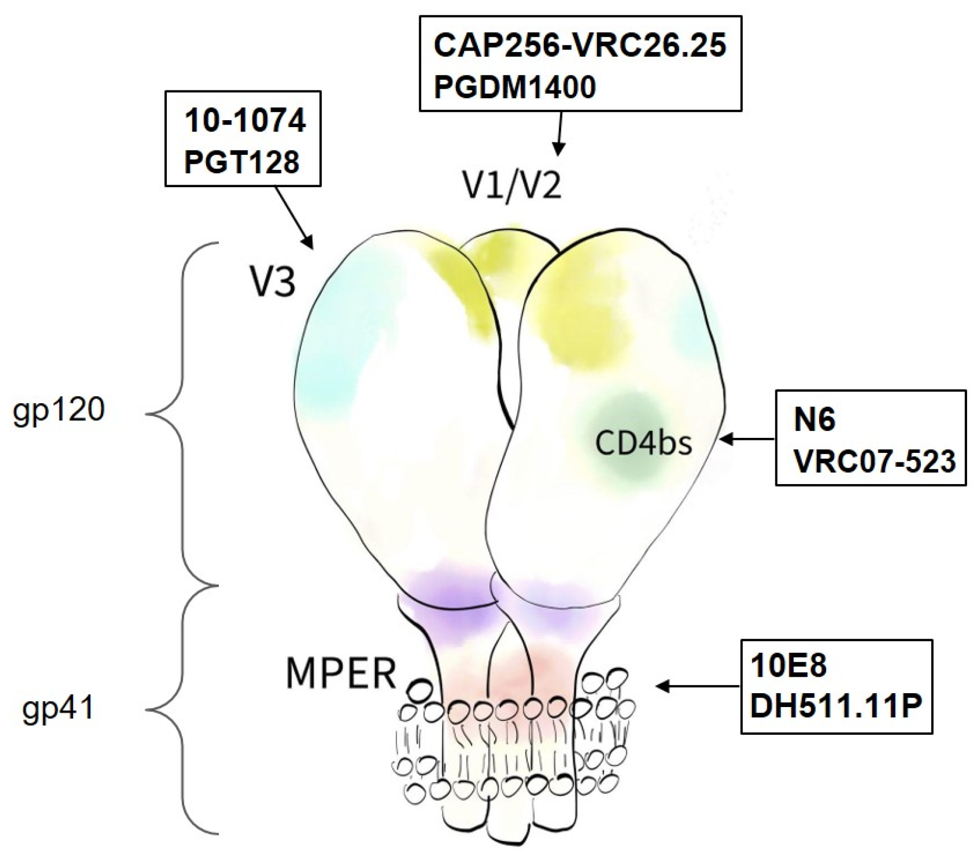 Viruses 14 01910 g001
