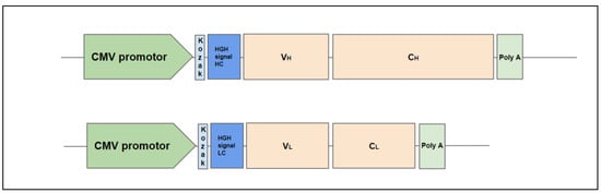 Viruses 14 01910 g0a1 550