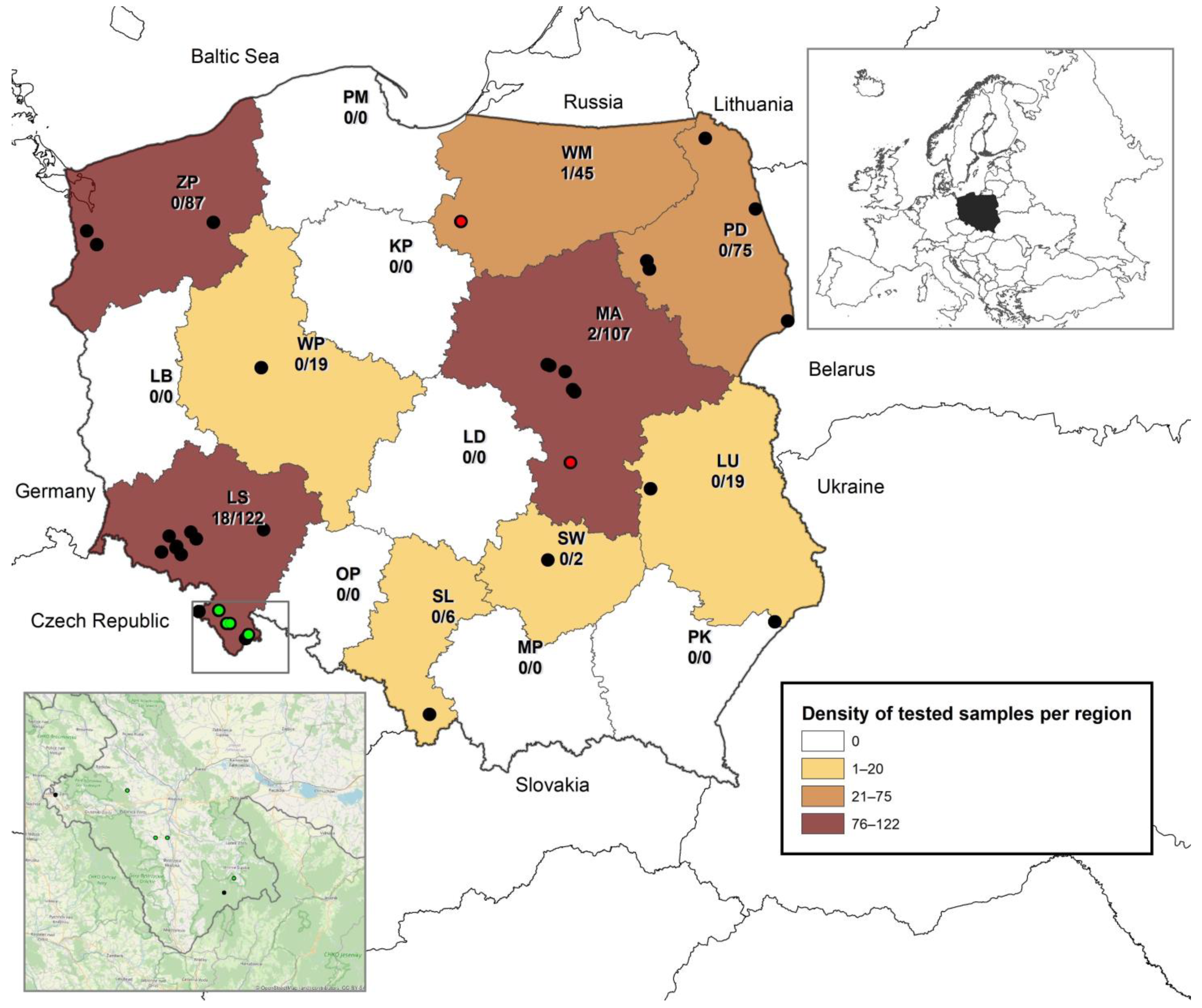 Viruses 14 01914 g001