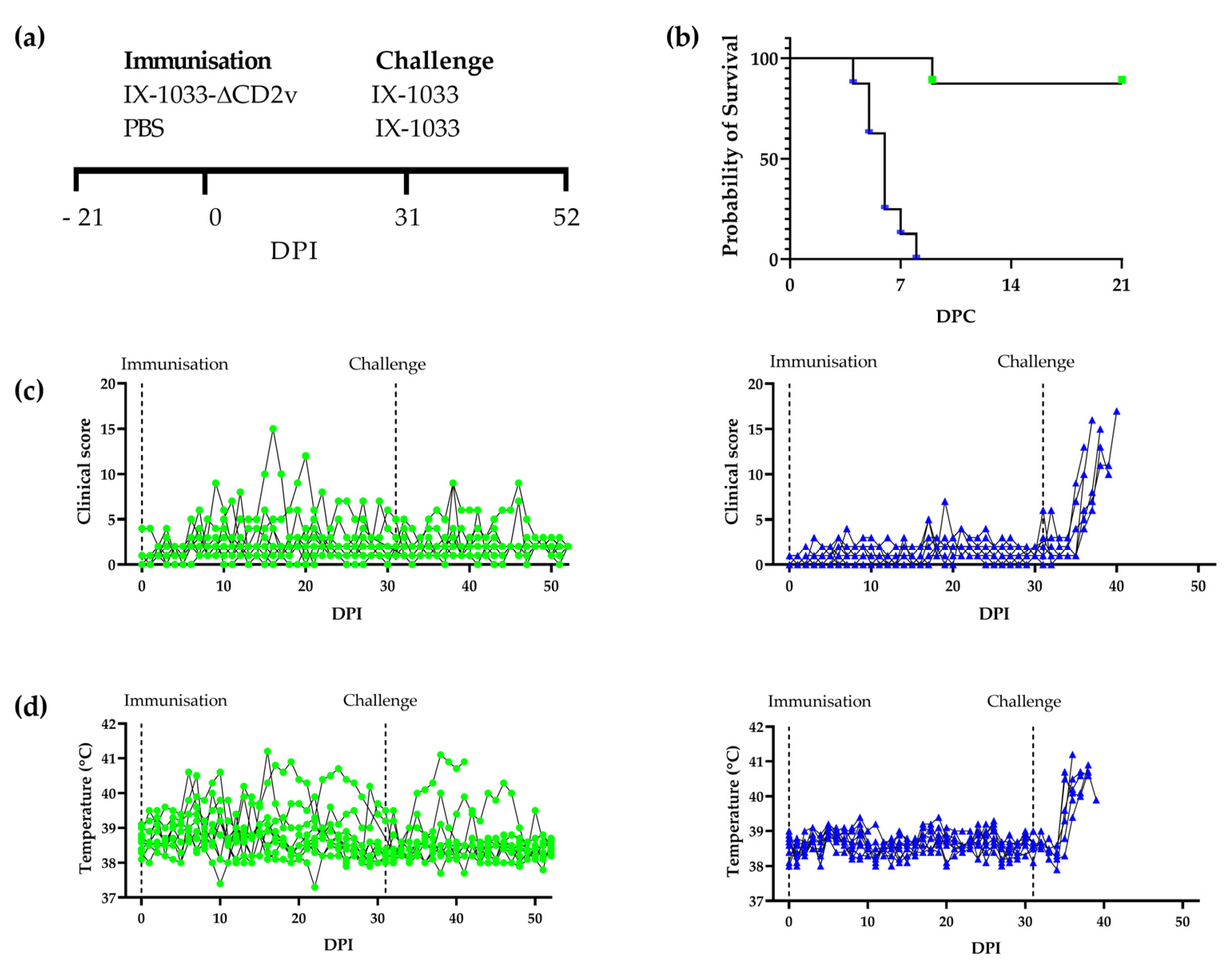 Viruses 14 01917 g001