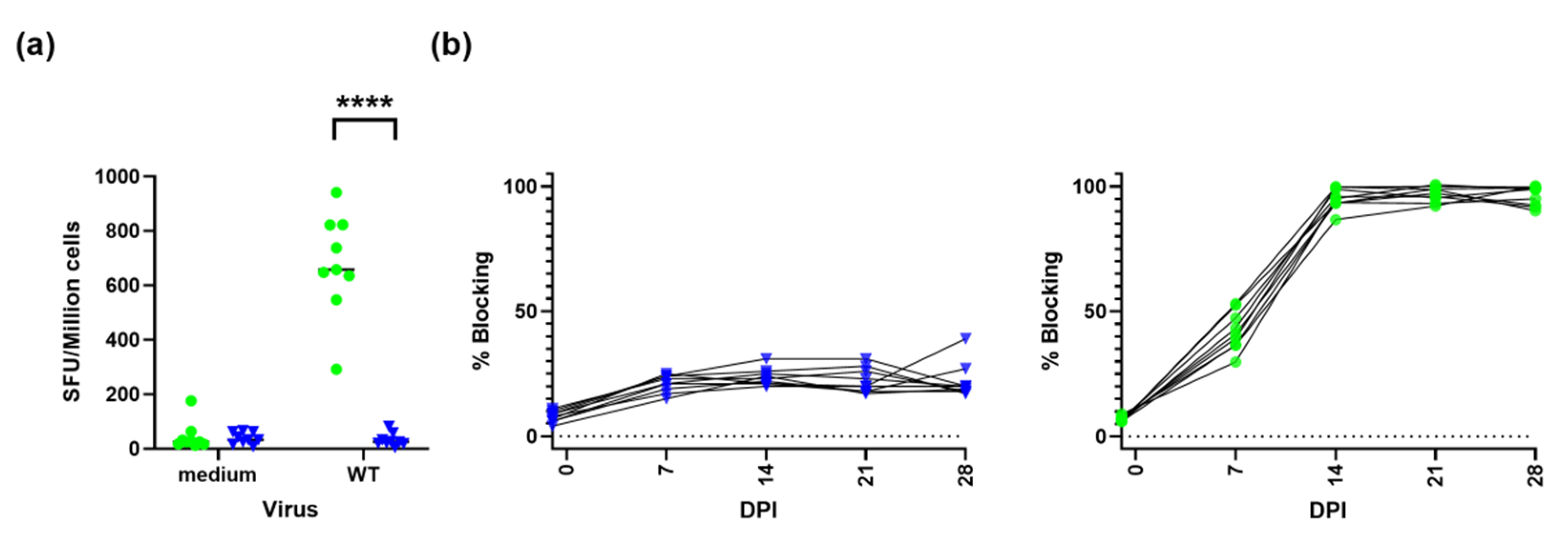 Viruses 14 01917 g002
