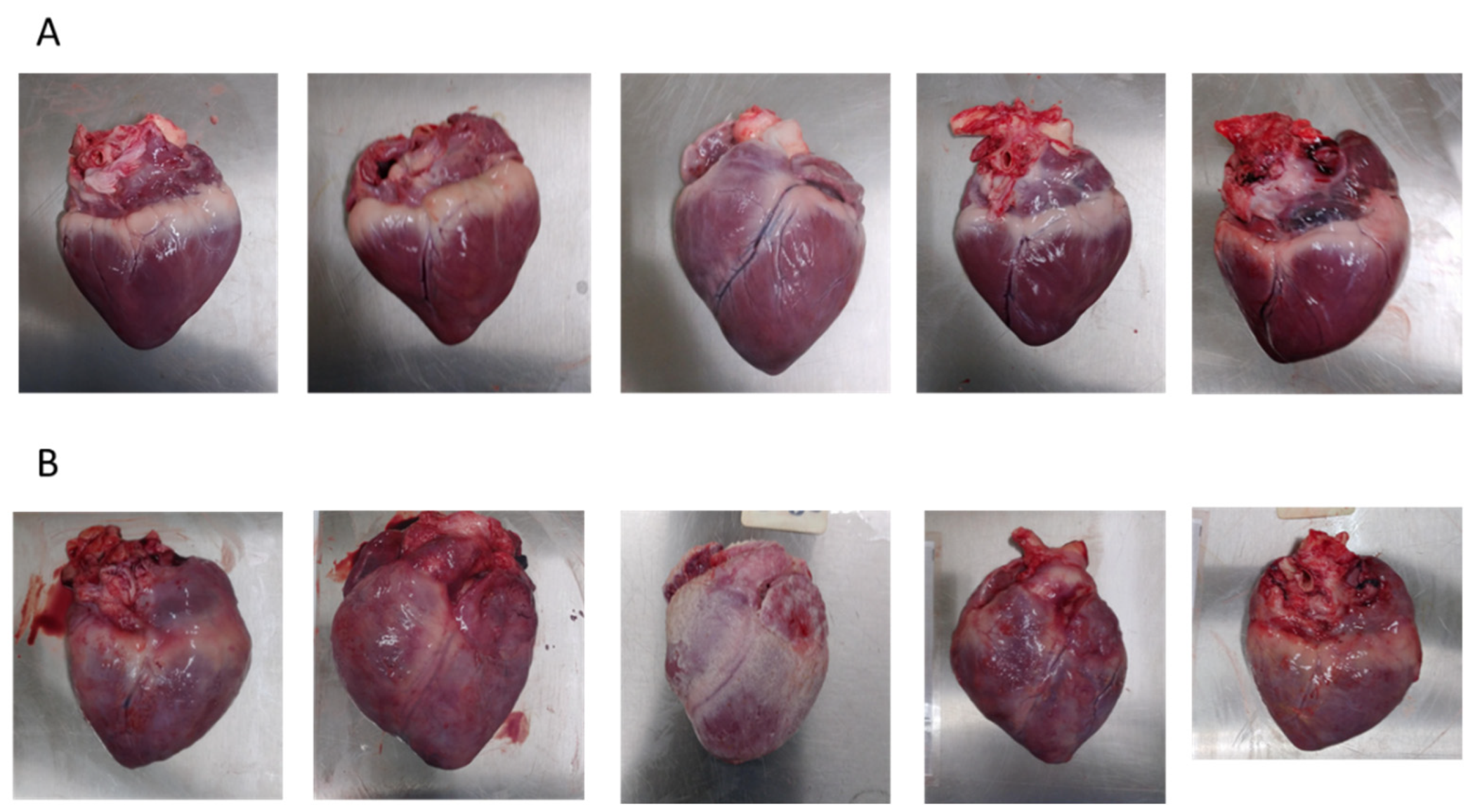 Viruses 14 01917 g004