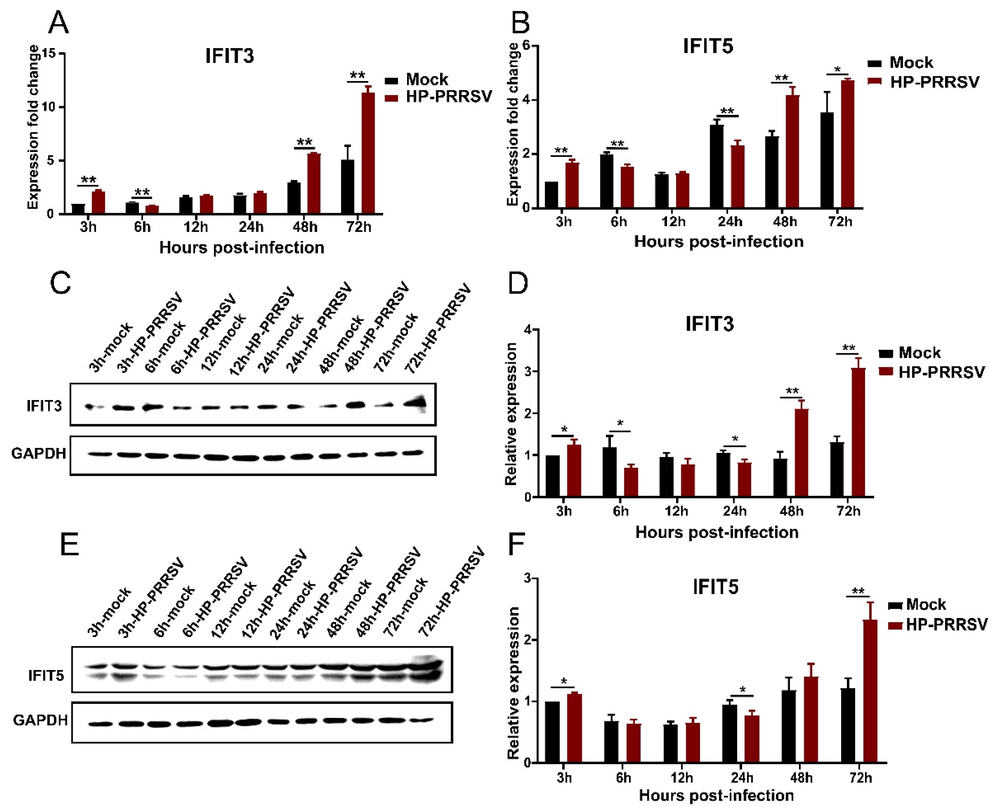 Viruses 14 01919 g005