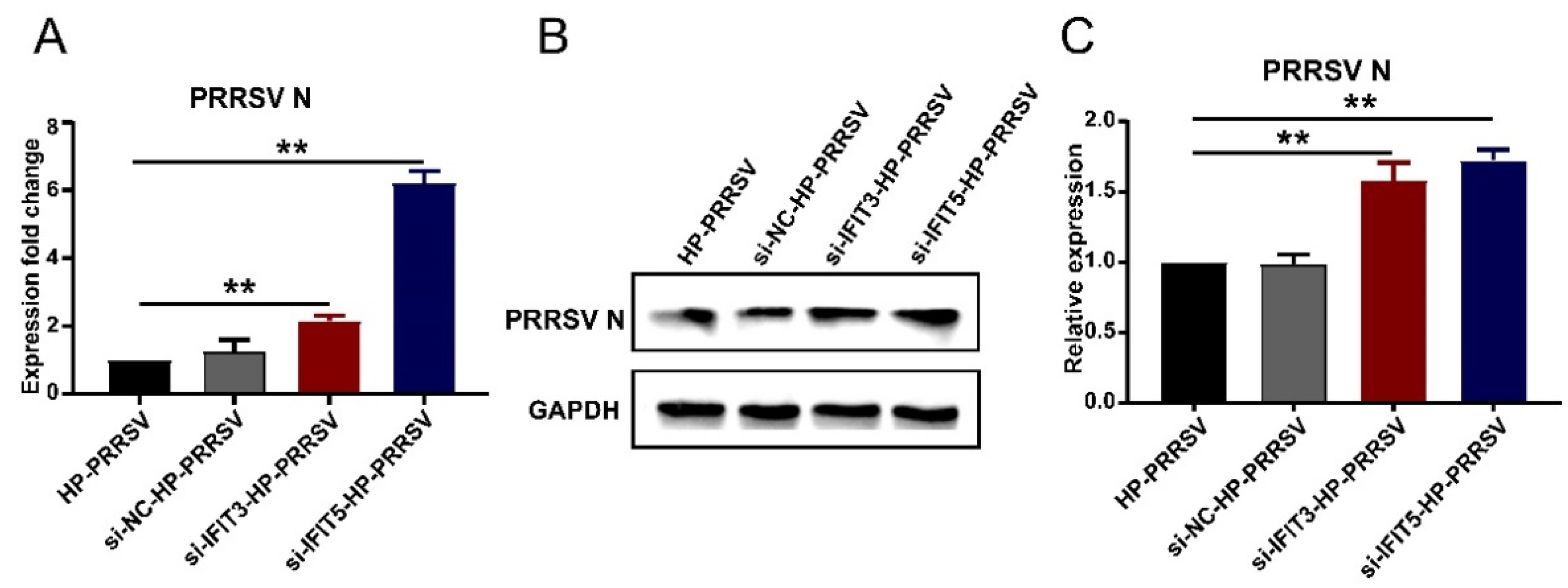 Viruses 14 01919 g007