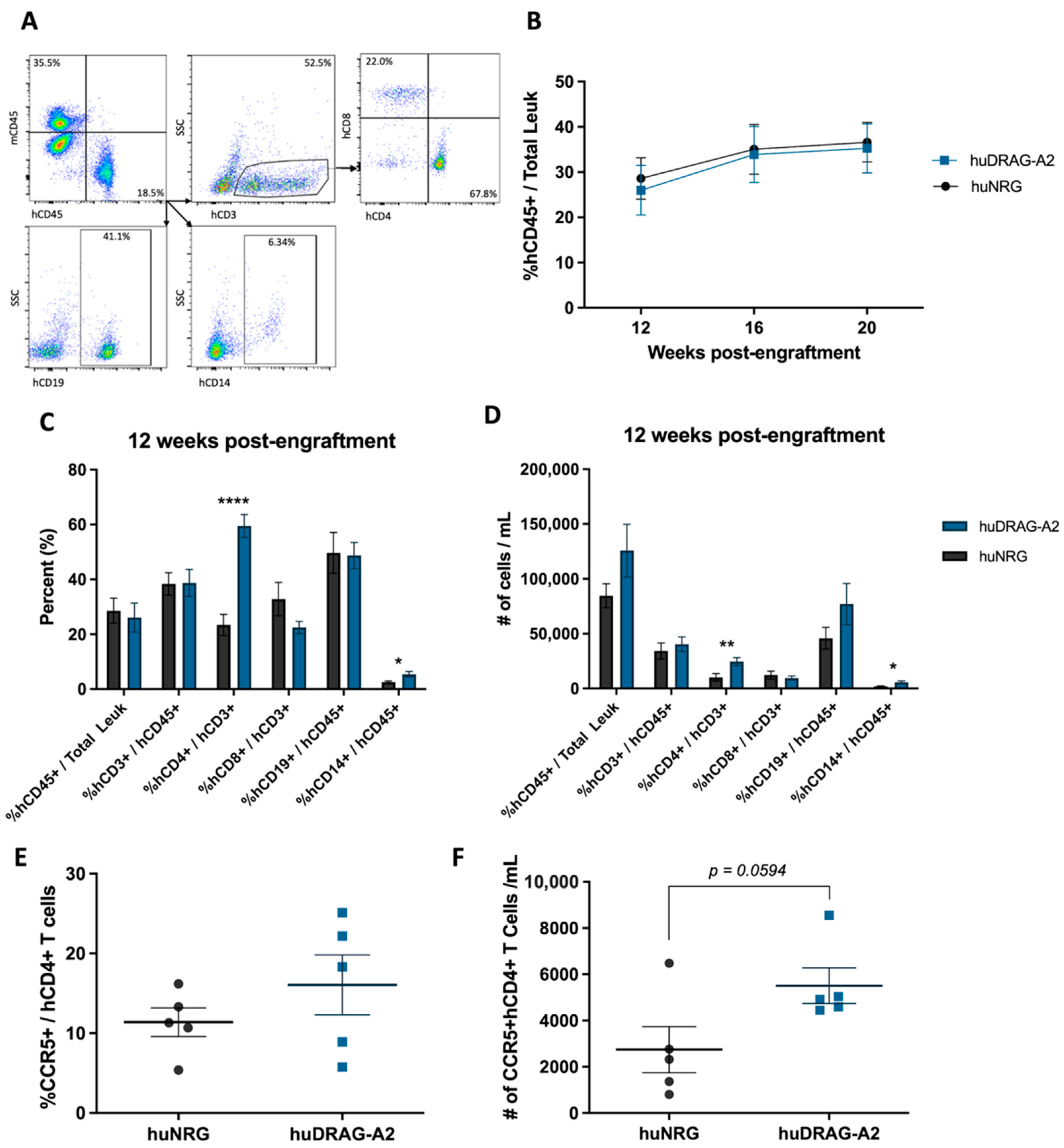Viruses 14 01927 g001 Viruses 14 01927 g001