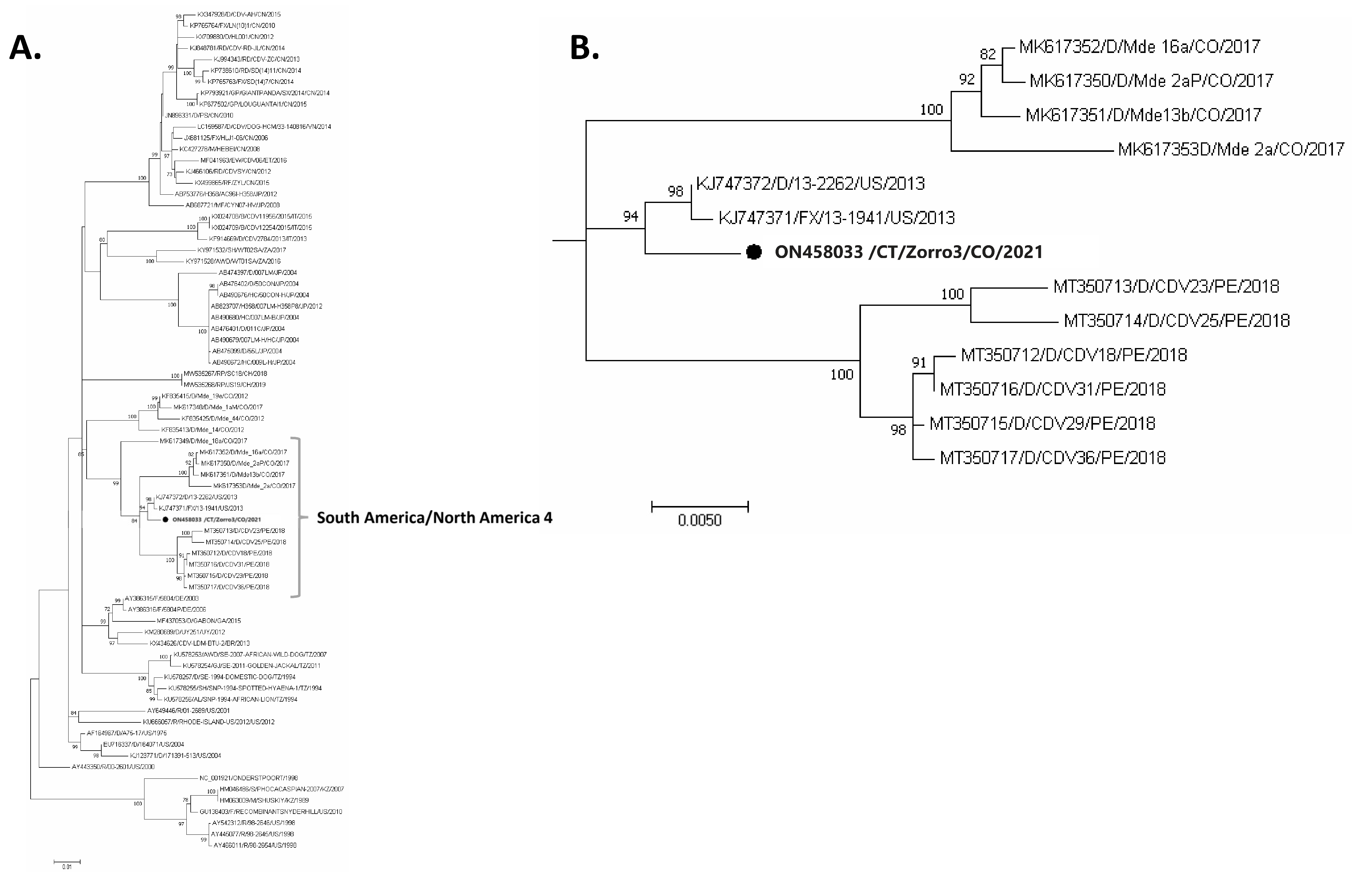 Viruses 14 01947 g002