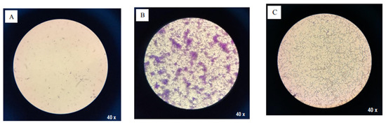 Viruses 14 01949 g0a1 550