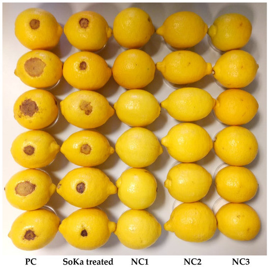 Viruses 14 01949 g0a2 550