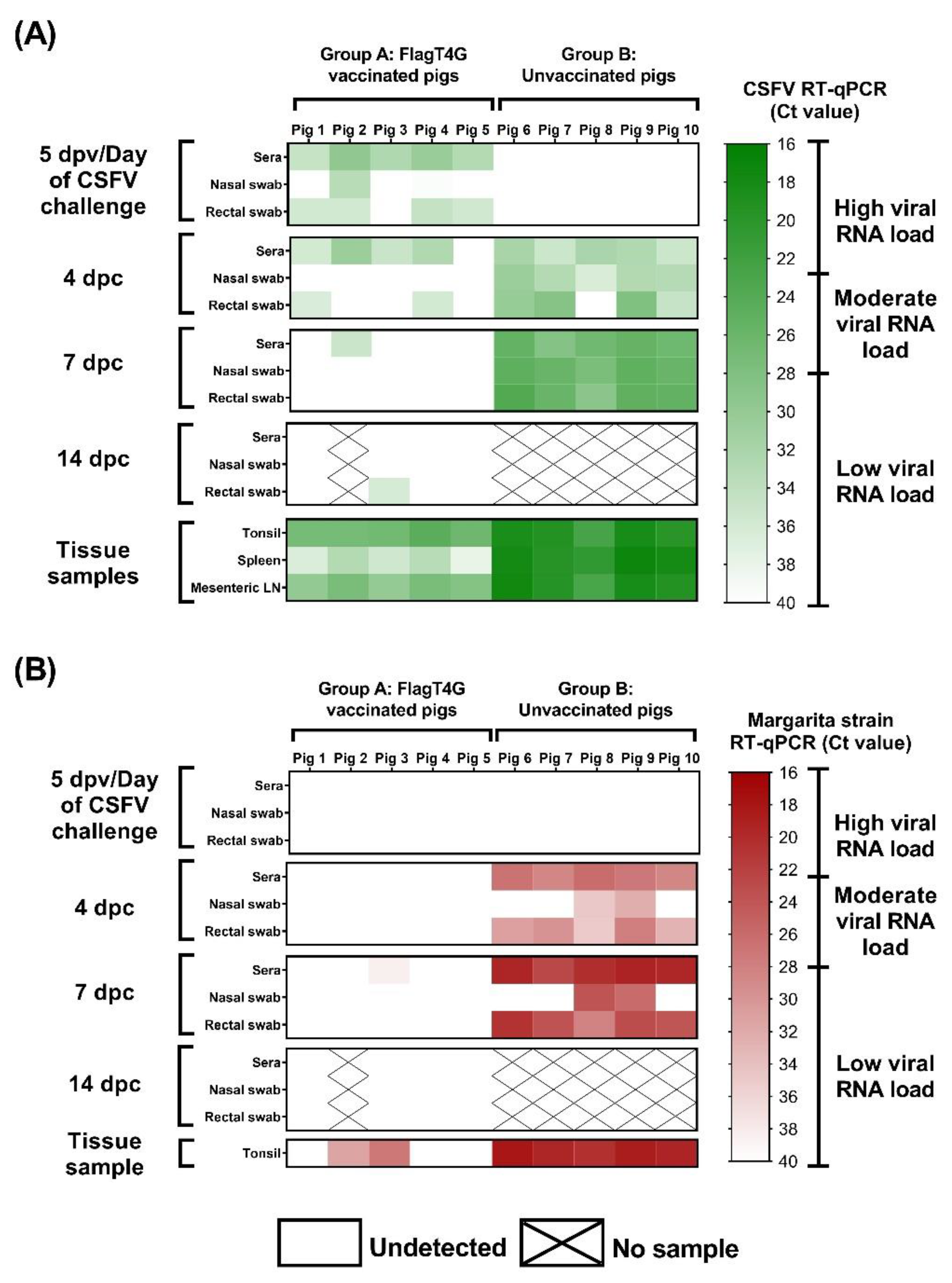 Viruses 14 01954 g004