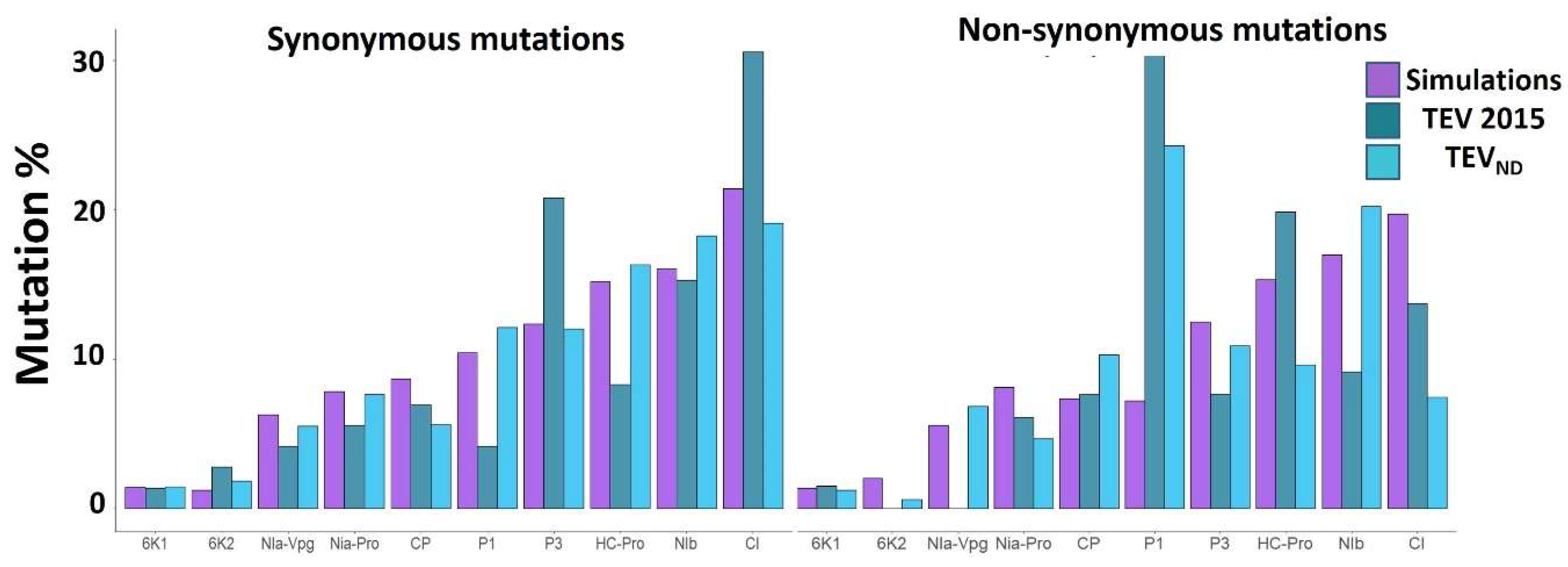 Viruses 14 01959 g002