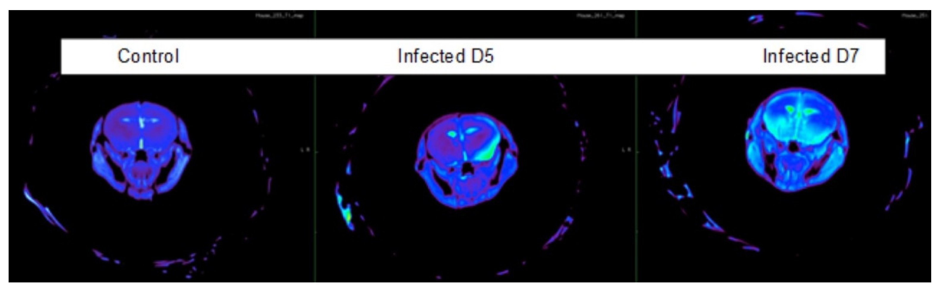 Viruses 14 01961 g003