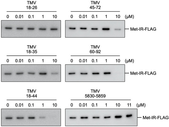 Viruses 14 01962 g002
