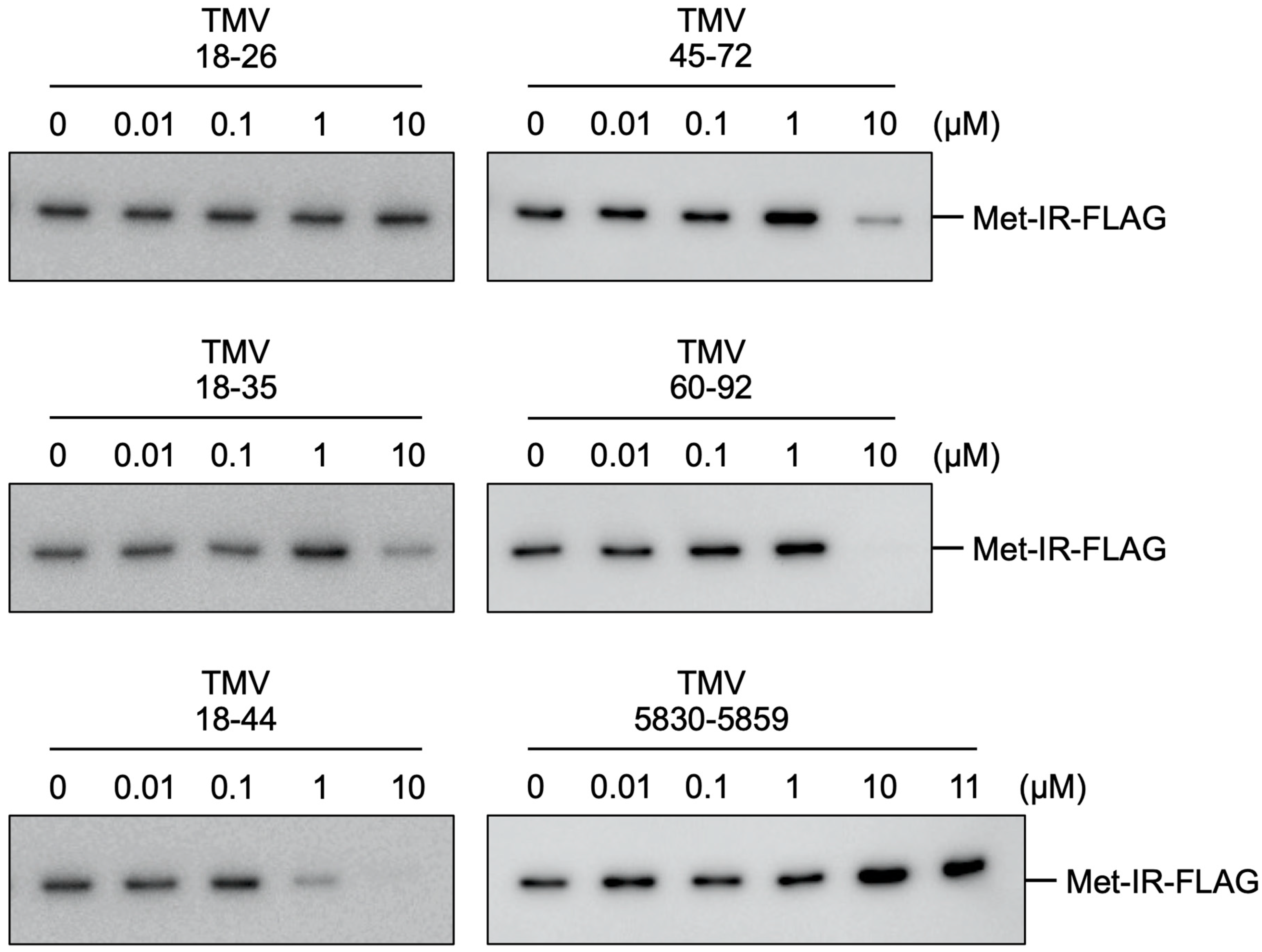 Viruses 14 01962 g002