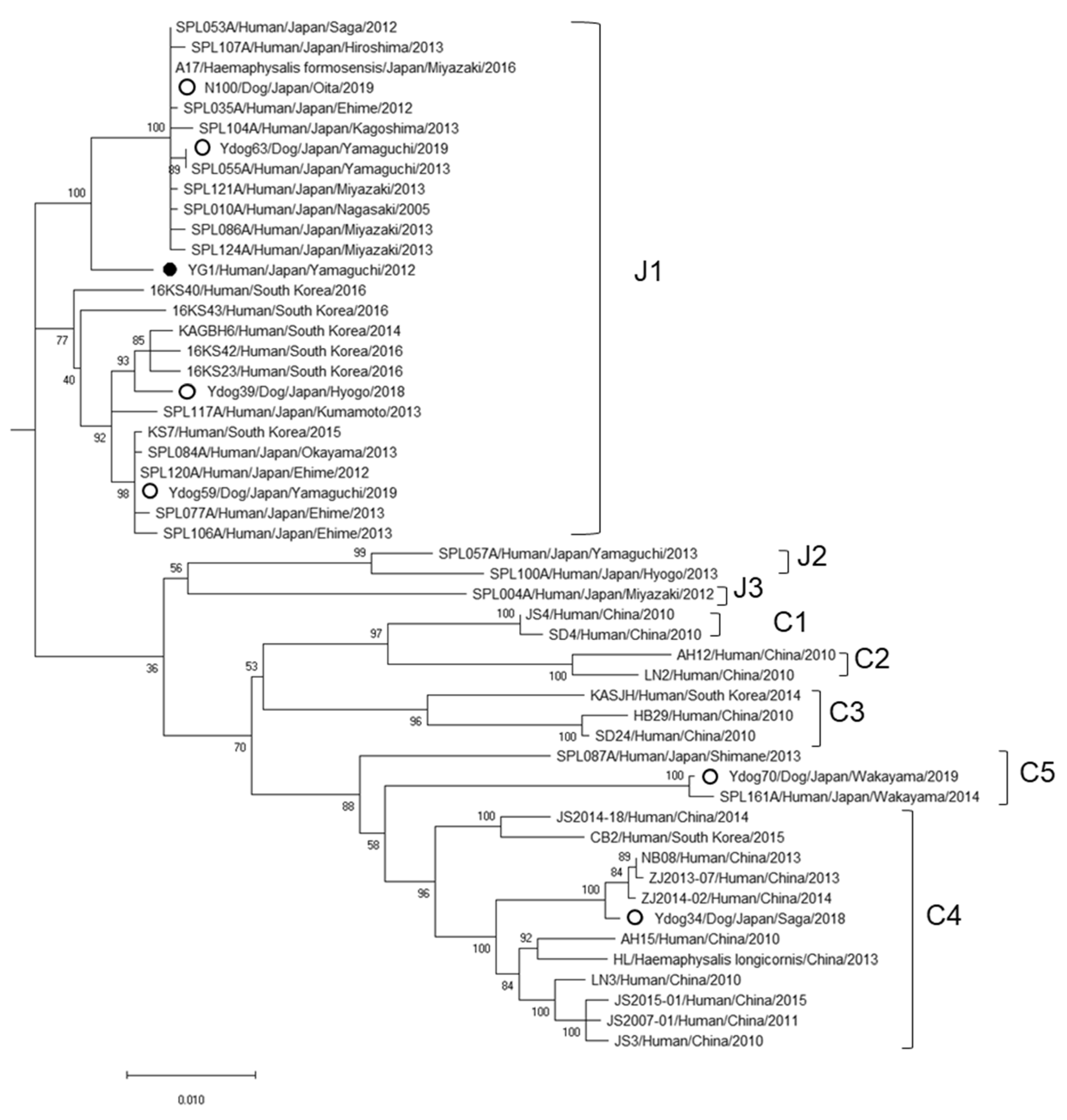 Viruses 14 01963 g003