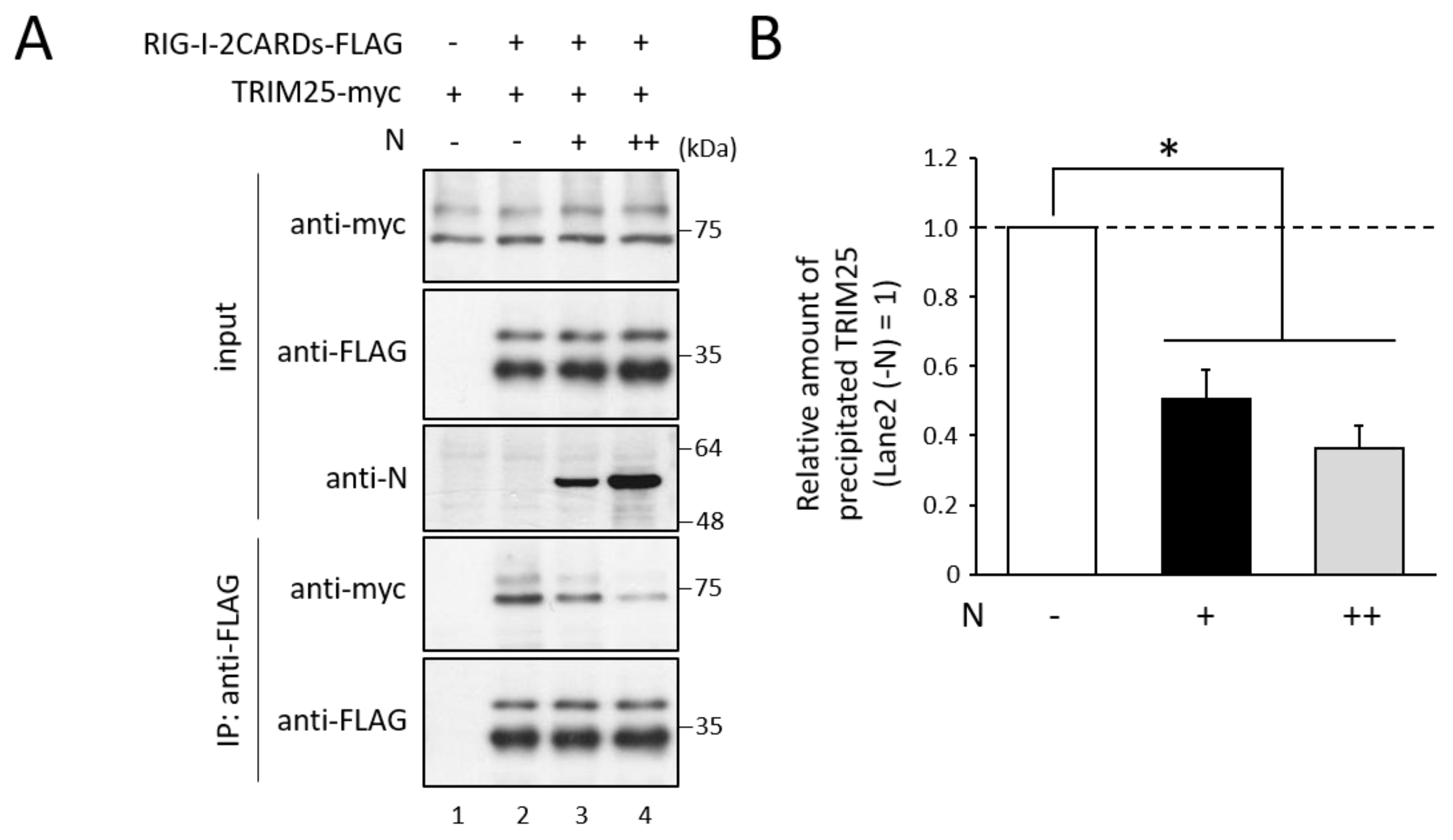 Viruses 14 01965 g004