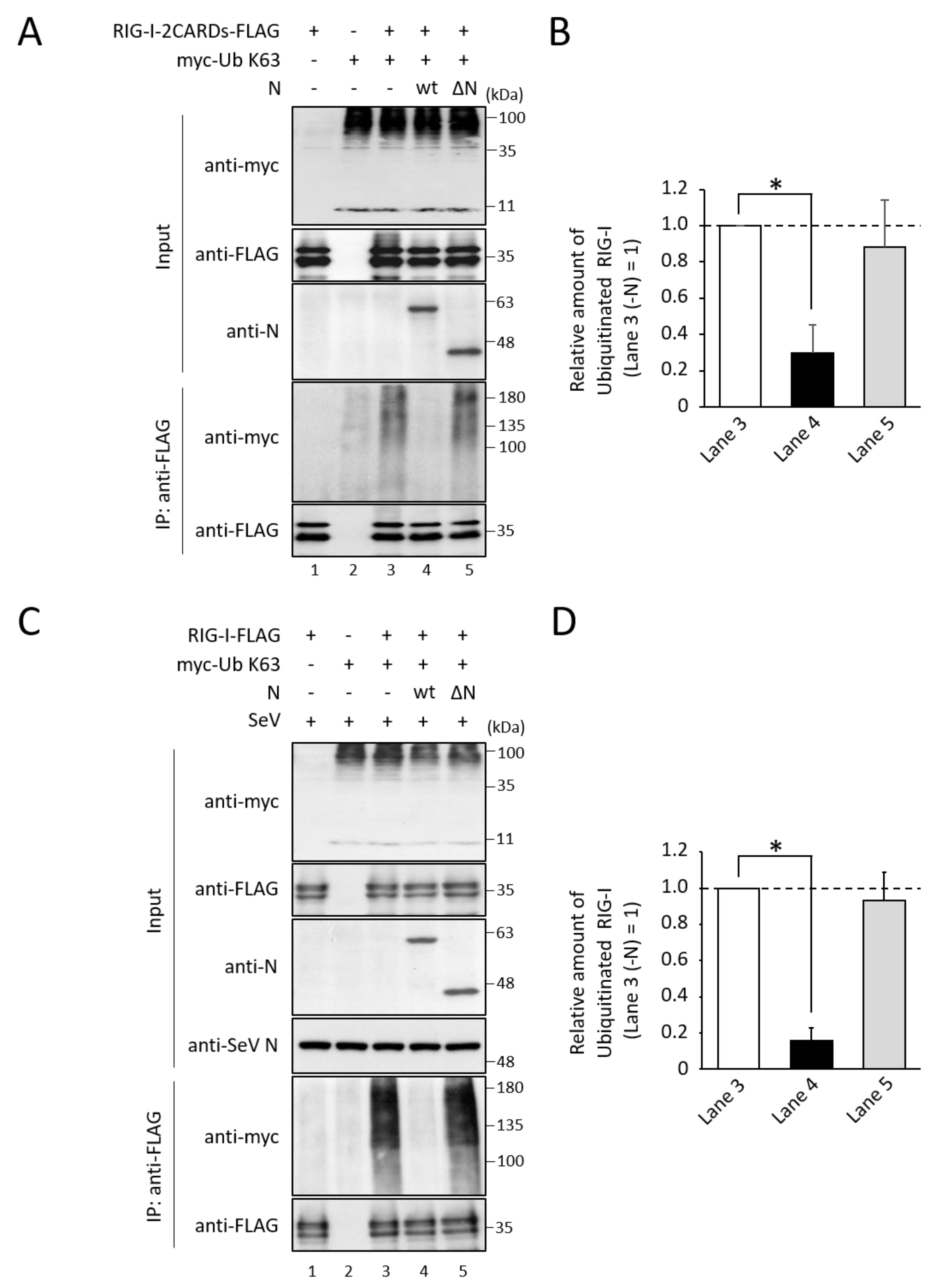 Viruses 14 01965 g005