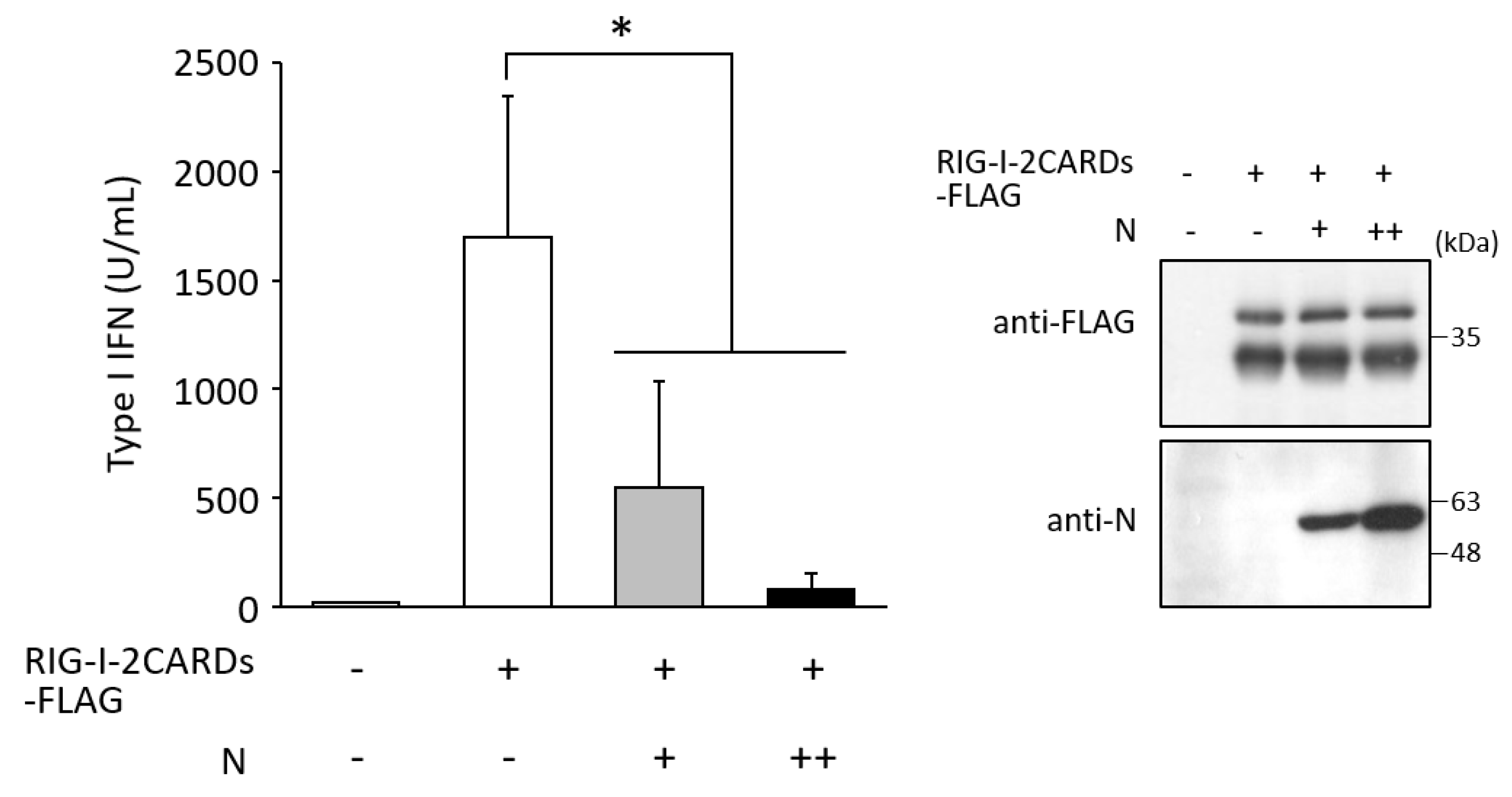 Viruses 14 01965 g006